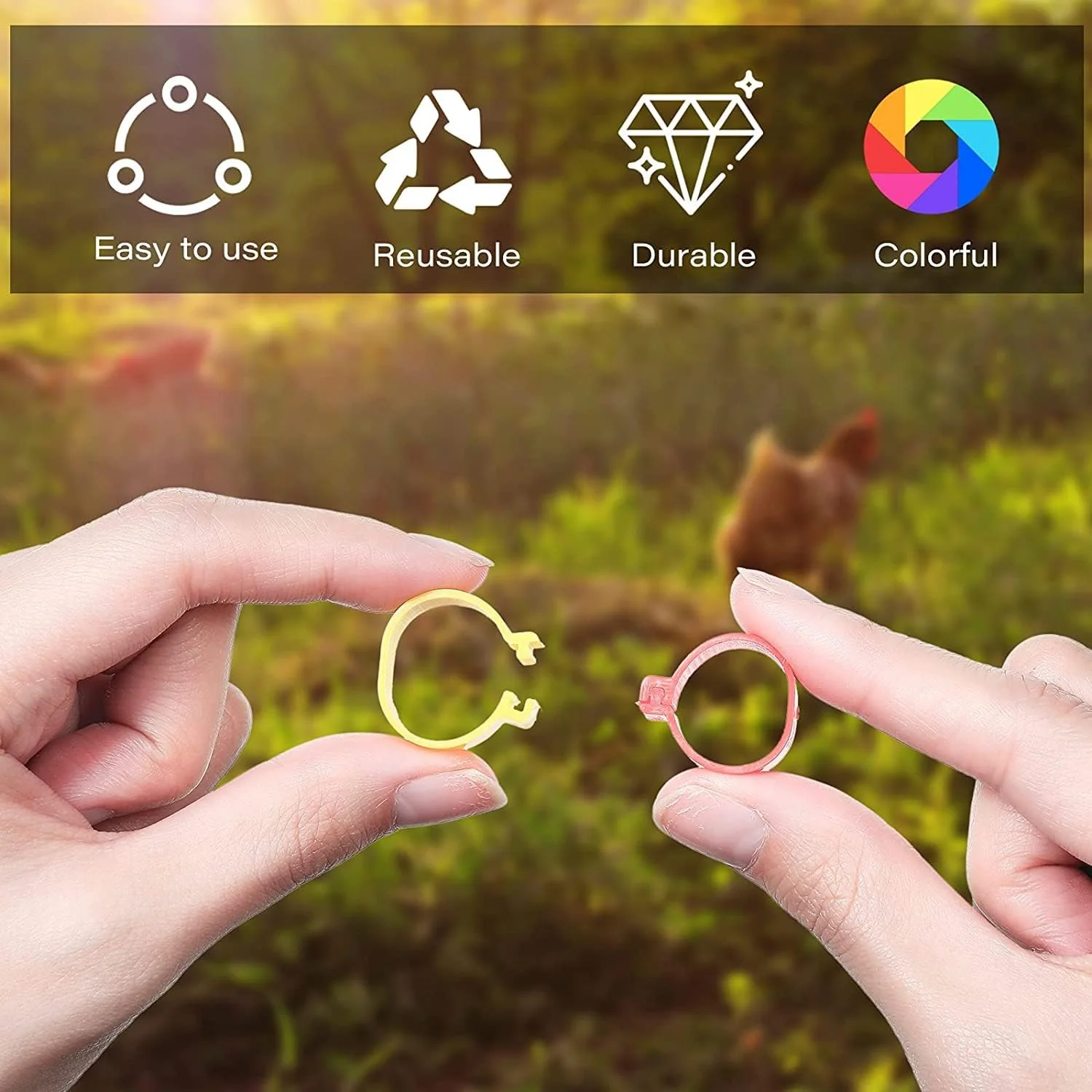 حلقه پای مرغ، شماره دار، حلقه های رنگارنگ طیور برای اردک، جوجه، مرغ گینه، غاز، 100 عدد، 5 رنگ حلقه پای مرغ، شماره دار، حلقه های رنگارنگ طیور برای اردک، جوجه، مرغ گینه، غاز، 100 عدد، 5 رنگ