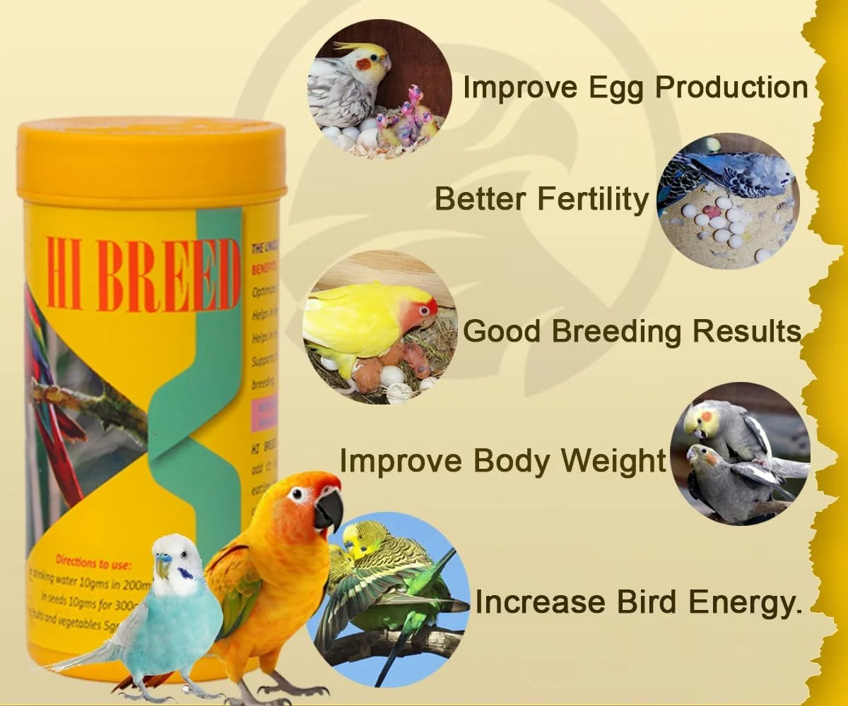 مکمل های غذایی پرندگان خانگی با فرمول منحصر به فرد برای پرورش پرندگان خانگی - 100 گرم/نتایج خوب پرورش، باروری بهتر. مکمل های غذایی پرندگان خانگی با فرمول منحصر به فرد برای پرورش پرندگان خانگی - 100 گرم/نتایج خوب پرورش، باروری بهتر.