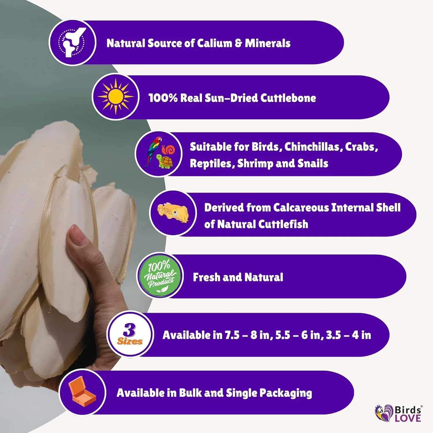 استخوان طبیعی برای پرندگان | مکمل کلسیم 100% خالص خشک شده در آفتاب برای پرندگان، لاک پشت ها، حلزون ها و خرچنگ ها | پشتیبانی از سلامت نوک و پوسته | جویدن آسان | بسته 2 عددی، اندازه 3.5 تا 4 اینچ استخوان طبیعی برای پرندگان | مکمل کلسیم 100% خالص خشک شده در آفتاب برای پرندگان، لاک پشت ها، حلزون ها و خرچنگ ها | پشتیبانی از سلامت نوک و پوسته | جویدن آسان | بسته 2 عددی، اندازه 3.5 تا 4 اینچ