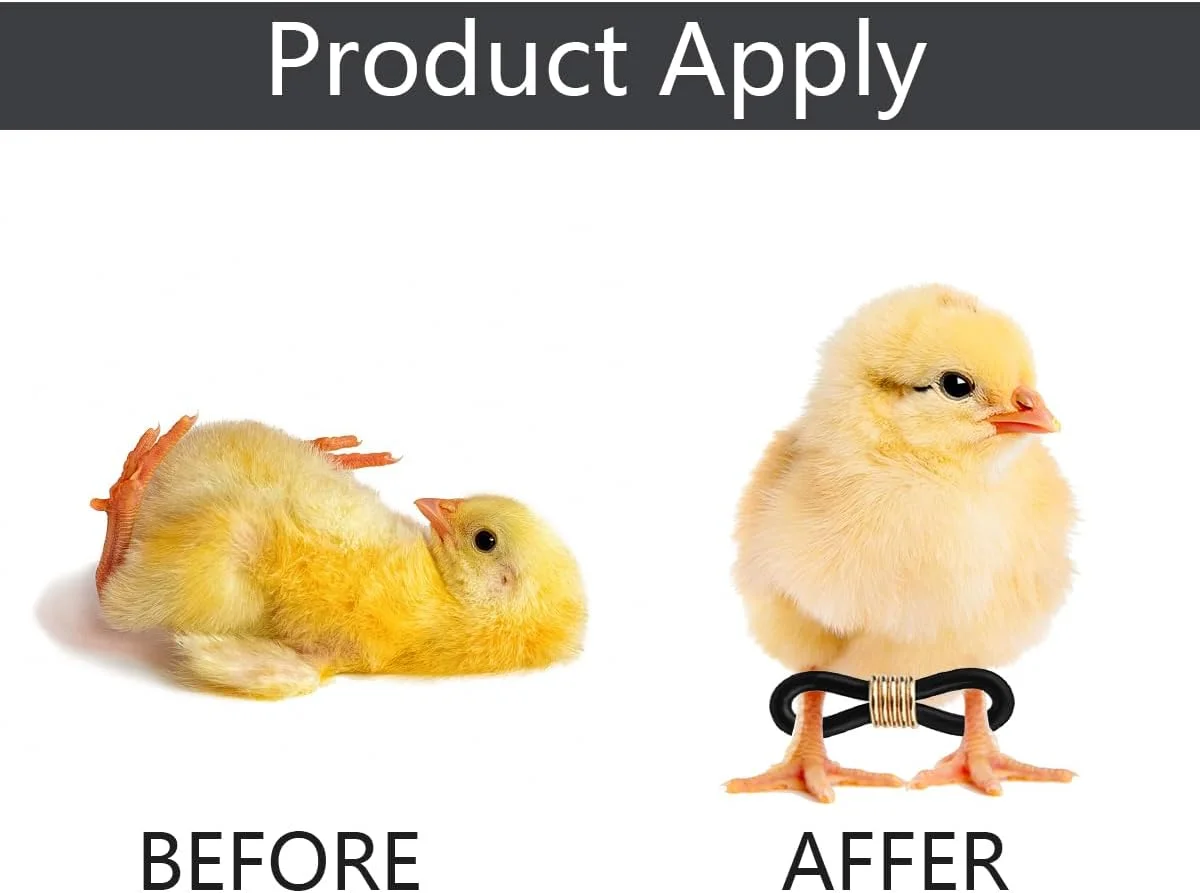 BODHIS 50 عدد حلقه پای جوجه برای اصلاح پای باز، بند پای قابل تنظیم برای جوجه ها، بریس برای اصلاح پای باز، لوازم مراقبت از طیور برای جوجه، پرنده، بلدرچین، اردک تازه متولد شده (مشکی) BODHIS 50 عدد حلقه پای جوجه برای اصلاح پای باز، بند پای قابل تنظیم برای جوجه ها، بریس برای اصلاح پای باز، لوازم مراقبت از طیور برای جوجه، پرنده، بلدرچین، اردک تازه متولد شده (مشکی)