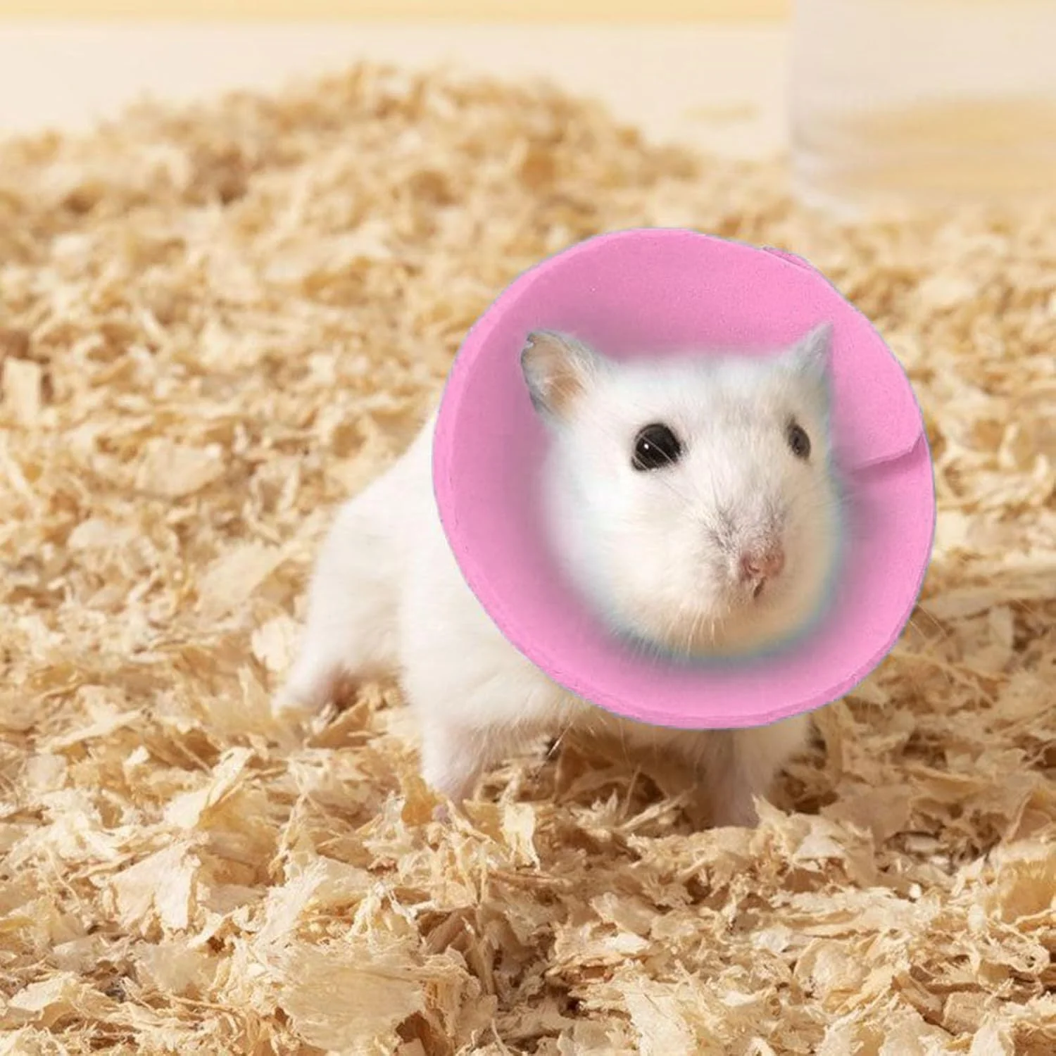 طوق محافظ گردن پرنده - طوق محافظ گردن پرنده برای طوطی، گردنبند محافظ حیوانات کوچک برای سفر روزانه خرگوش، راسو، طوطی، موش، محافظت در برابر خراش طوق محافظ گردن پرنده - طوق محافظ گردن پرنده برای طوطی، گردنبند محافظ حیوانات کوچک برای سفر روزانه خرگوش، راسو، طوطی، موش، محافظت در برابر خراش