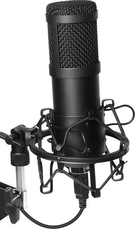 کیت میکروفون پادکست USB مدل BM800 - مشکی