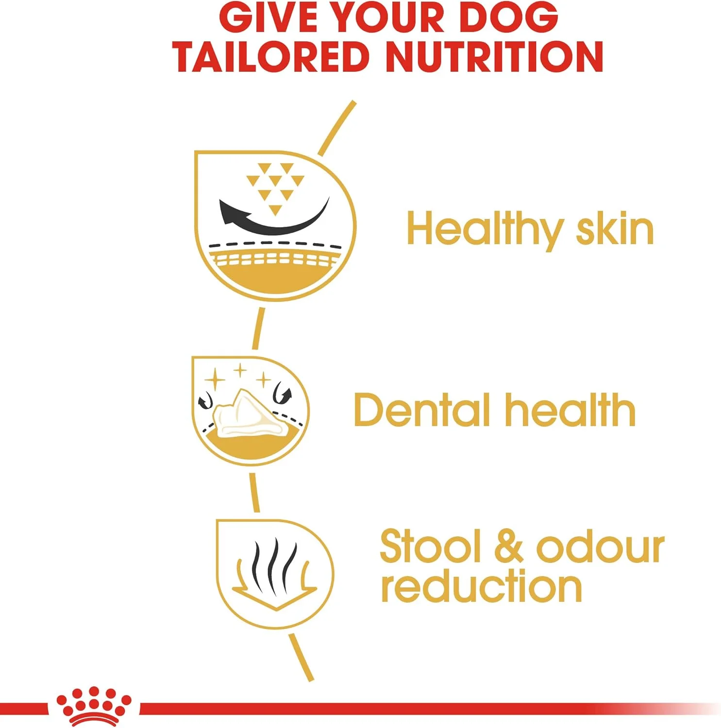غذای خشک سگ نژاد شیتزو بالغ رویال کنین، 3000 گرم