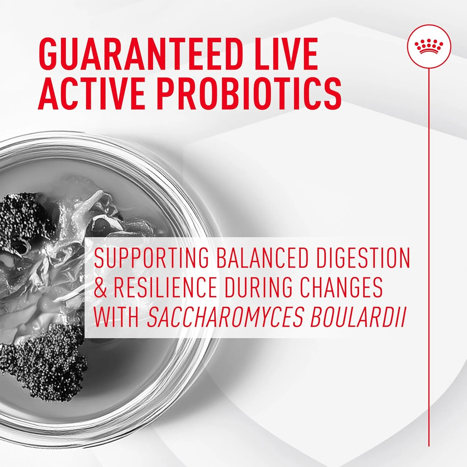 پودر مکمل پروبیوتیک رویال کنین برای سلامت دستگاه گوارش و سیستم ایمنی سگ ها، مناسب برای سگ ها در تمام سنین، 30 عدد