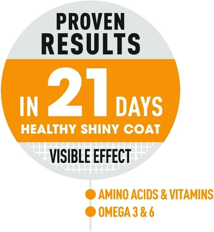 غذای خشک گربه رویال کنین مدل FCN Hair & Skin Care وزن 400 گرم