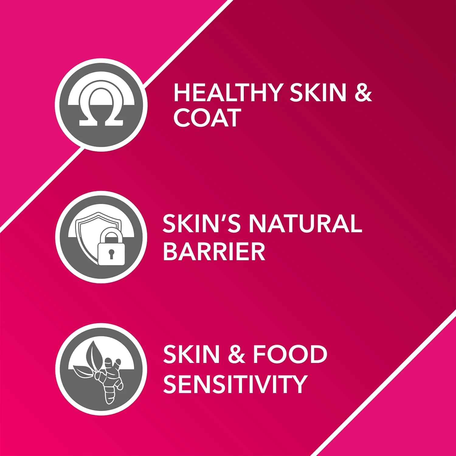 قرص مکمل پوست و مو سگ درولز ابسولوت، 50 عددی