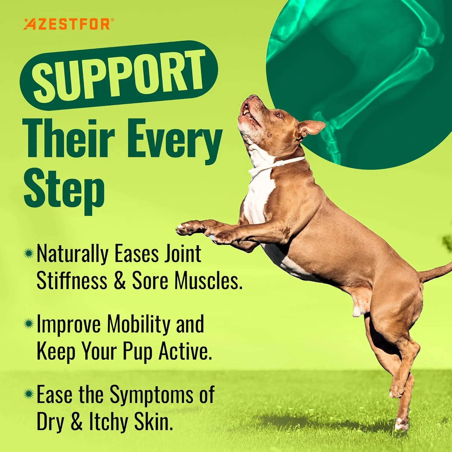 پودر ضد التهاب صدف لب سبز Azestfor برای سگ ها پودر ضد التهاب صدف لب سبز Azestfor برای سگ ها