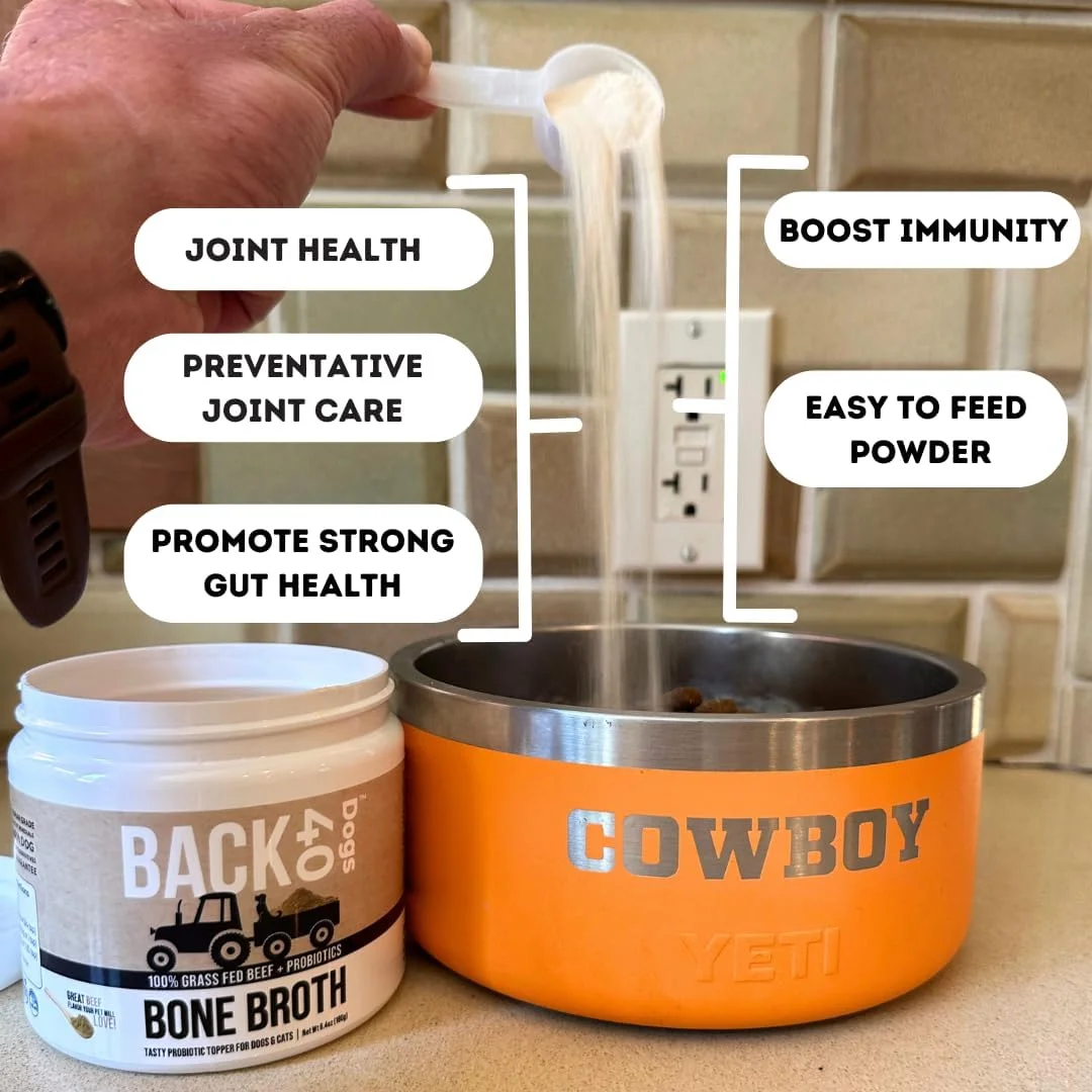 پودر آب گوشت استخوان گاو تغذیه شده با علف Back 40 Dogs برای سگ ها با پروبیوتیک، کندرویتین و گلوکوزامین - پشتیبانی از سلامت روده، مفاصل و سیستم ایمنی - مکمل غذای سگ با کیفیت انسانی برای سگ های بد غذا، 181 گرم