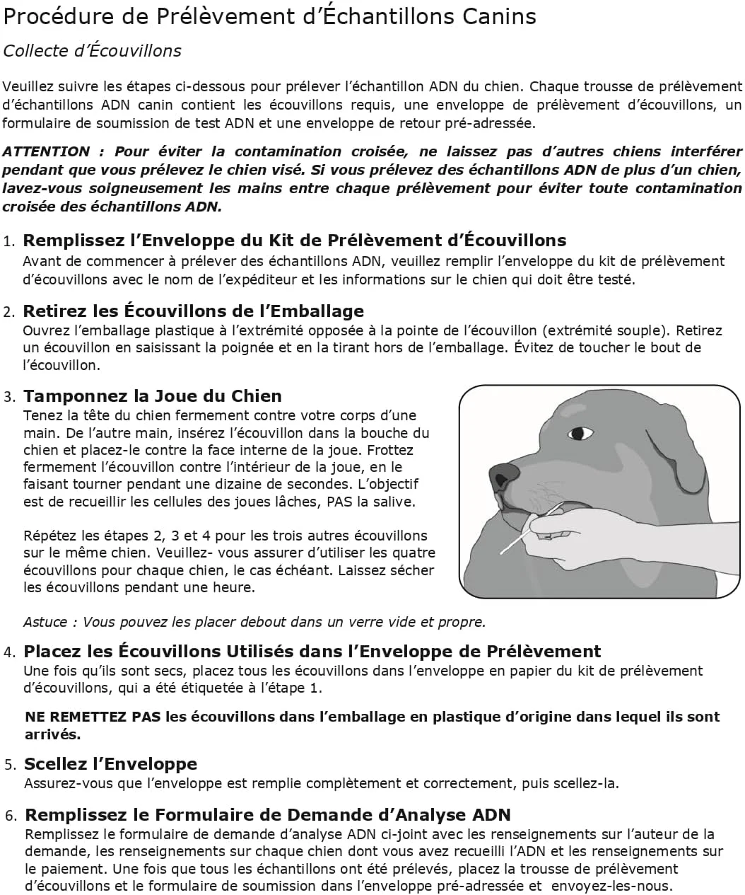 کیت تست دی ان ای تعیین رابطه والد فرزندی سگ | کیت جمع آوری نمونه در خانه با سواب دهانی برای پدر، مادر و توله سگ | نتایج تعیین نسب سگ در 2 هفته | یک کیت کامل بدون هزینه اضافی