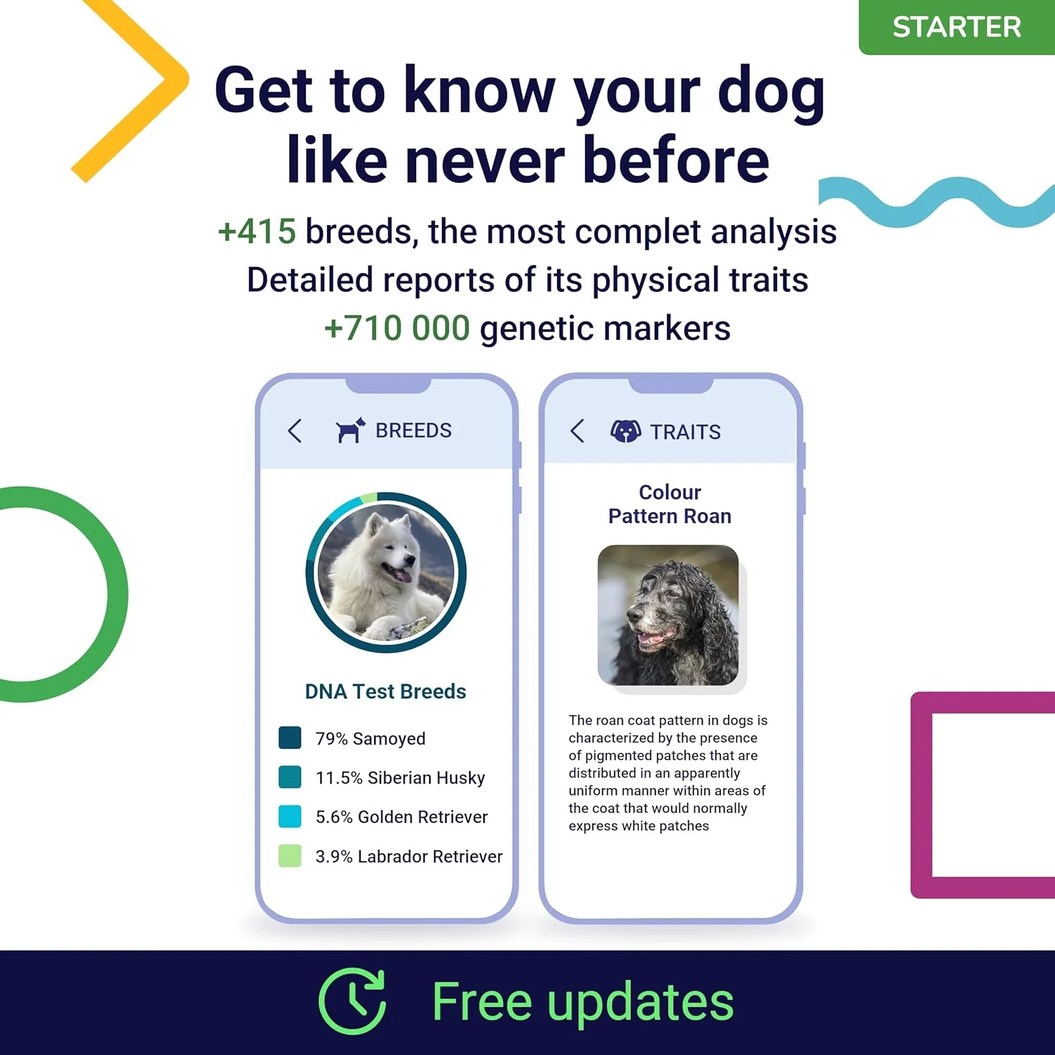 کیت آغازین تست دی ان ای سگ - (گزارش نژاد و ویژگی ها) - بروزرسانی رایگان