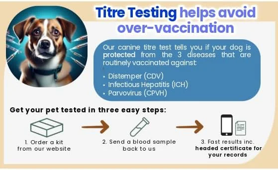 تست تیتر آنتی بادی سگ ها | ارسال نمونه | ساده، دقیق و مقرون به صرفه