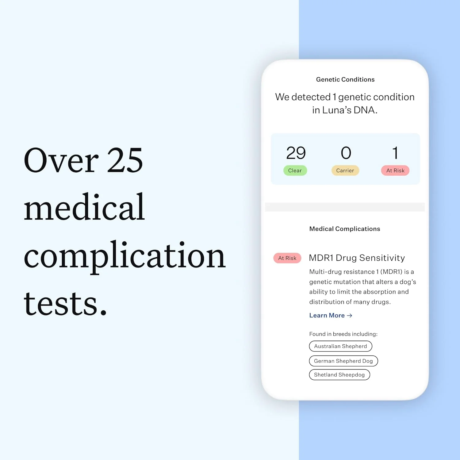 کیت تست DNA ضروری Wisdom Panel: دقیق ترین کیت تست DNA سگ برای شناسایی نژاد و تبار | بیش از 25 مورد از شرایط سلامتی ژنتیکی | ویژگی ها | بستگان | بسته 2 عددی
