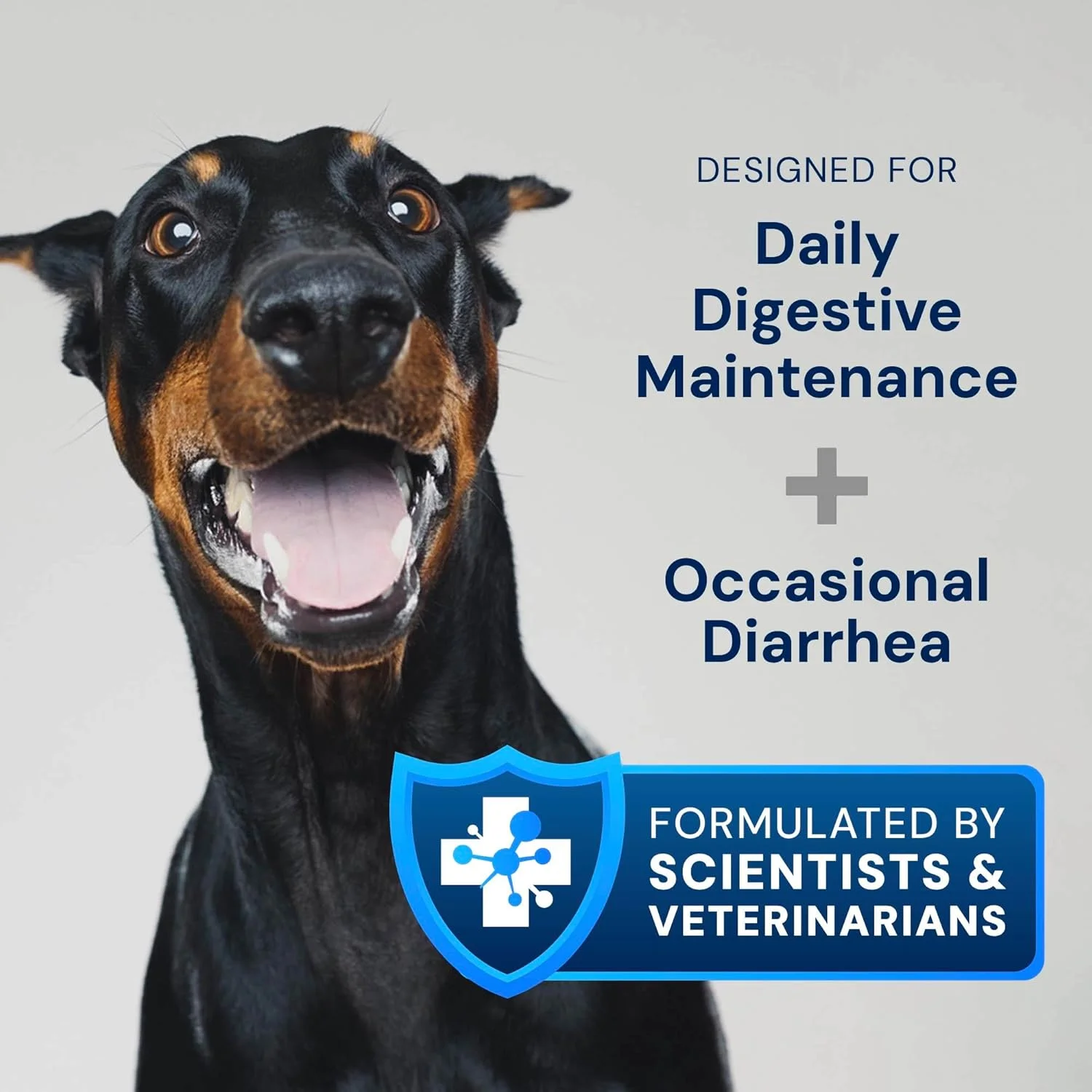 پروبیوتیک سگ AnimalBiome - پری بیوتیک و پروبیوتیک GMP - کاهش اسهال - برای سگ های بالای 18 کیلوگرم (60 کپسول) - DoggyBiome