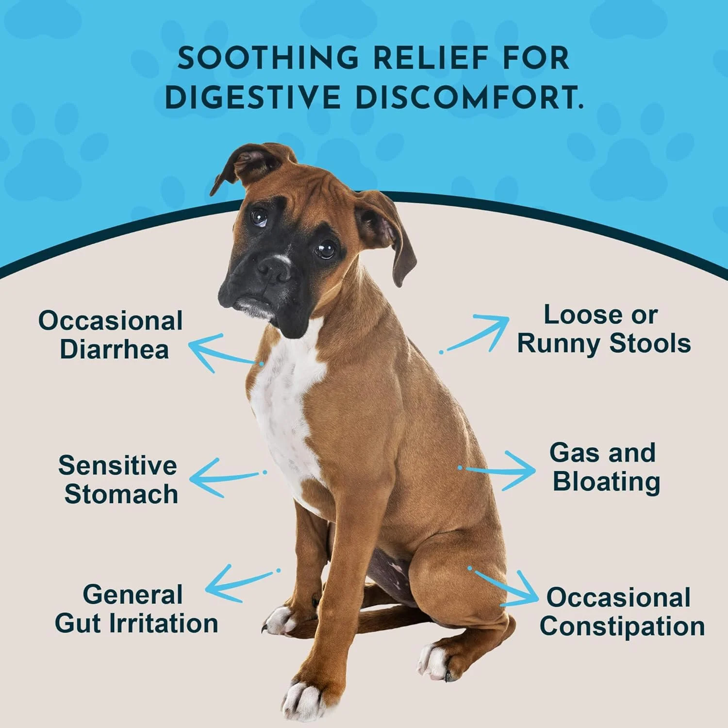 عصاره گیاهی نارون لغزنده Animal Essentials برای سگ و گربه، سلامت روده و تنفس، ساخت آمریکا، بدون الکل (60 میلی لیتر)