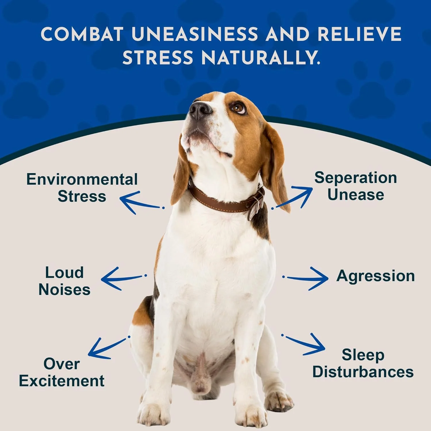 مایع مخلوط آرامش بخش Animal Essentials Inc برای سگ ها و گربه ها، 2 اونس