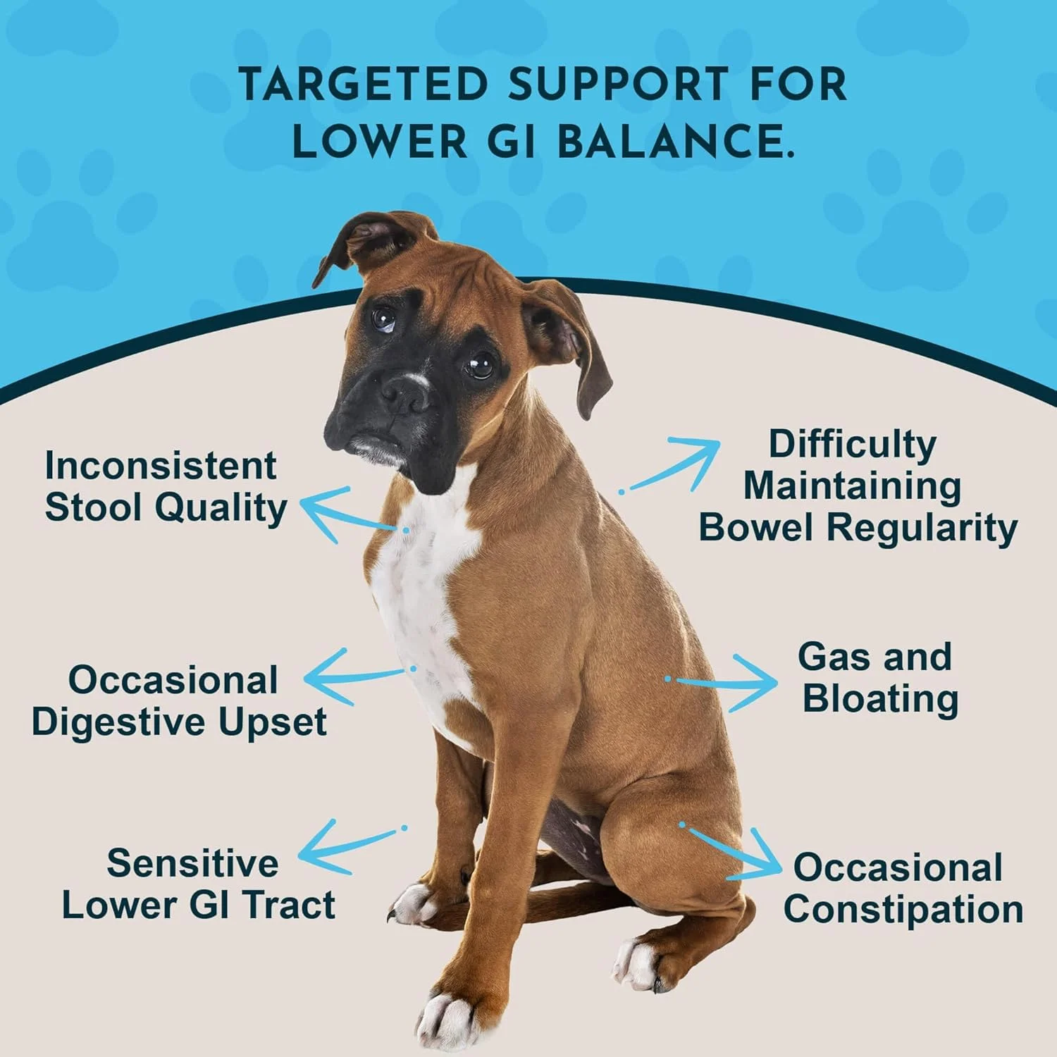 محلول گیاهی Animal Essentials Colon Rescue برای سگ و گربه، 2 اونس مایع - ترکیب فیتوموسیل پشتیبانی از عملکرد طبیعی روده