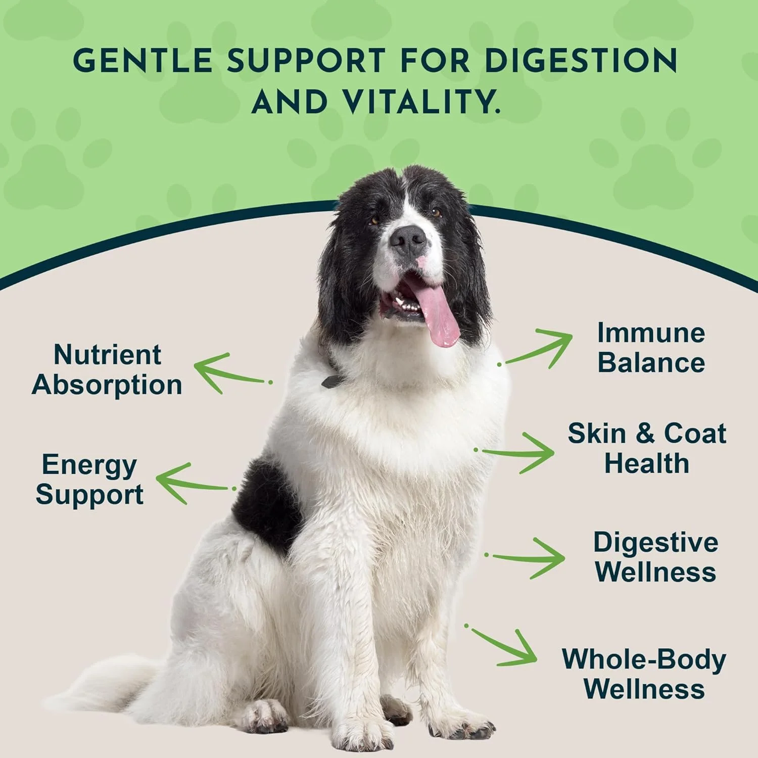 مکمل گیاهی جایگزین سبز حیوانات خانگی ضروری برای سگ و گربه، 300 گرم