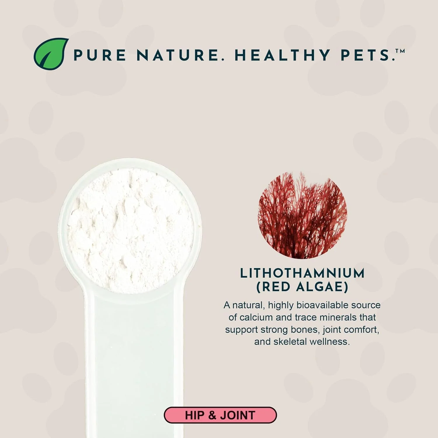 مکمل کلسیم جلبک دریایی Animal Essentials برای سگ و گربه، 340 گرمی (بسته 2 عددی)