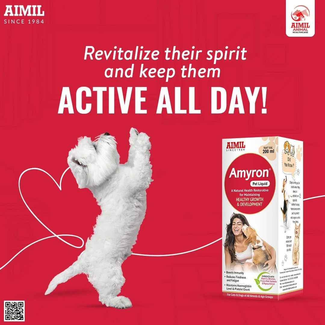 مایع خوراکی آمیورون مخصوص حیوانات خانگی 200 میلی لیتر مایع خوراکی آمیورون مخصوص حیوانات خانگی 200 میلی لیتر