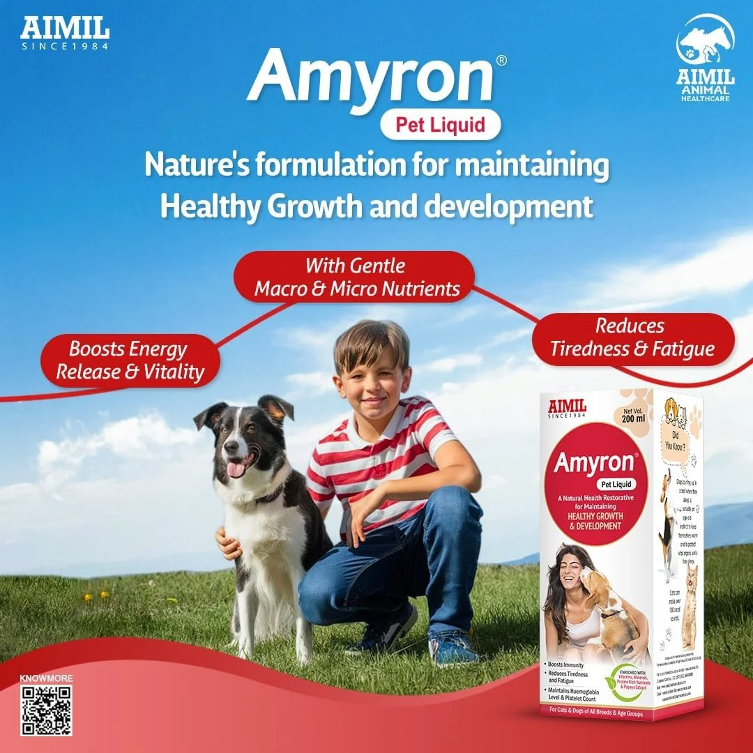 مایع خوراکی آمیورون مخصوص حیوانات خانگی 200 میلی لیتر مایع خوراکی آمیورون مخصوص حیوانات خانگی 200 میلی لیتر