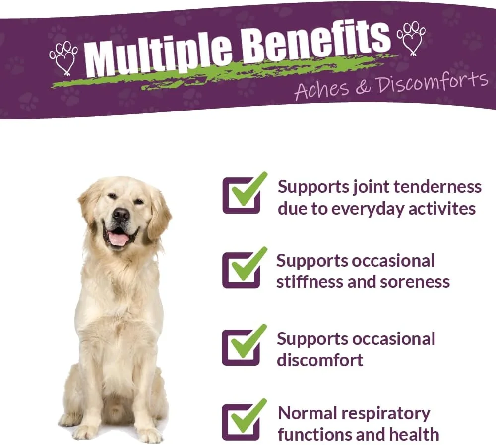 امبر نچرالز - ADIZONE - درد و ناراحتی - برای سگ ها - ۱۱۸ میلی لیتر