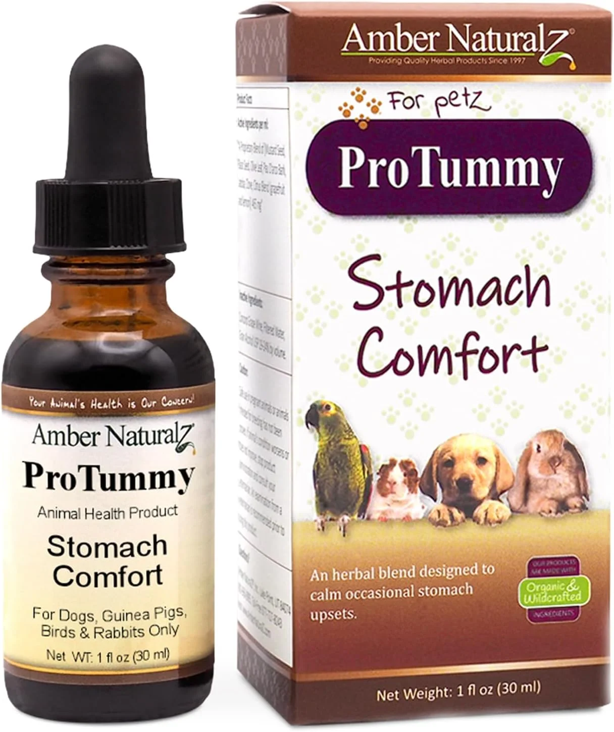 AMBER NATURALZ - ProTummy - آسایش معده - برای حیوانات خانگی - 1 اونس
