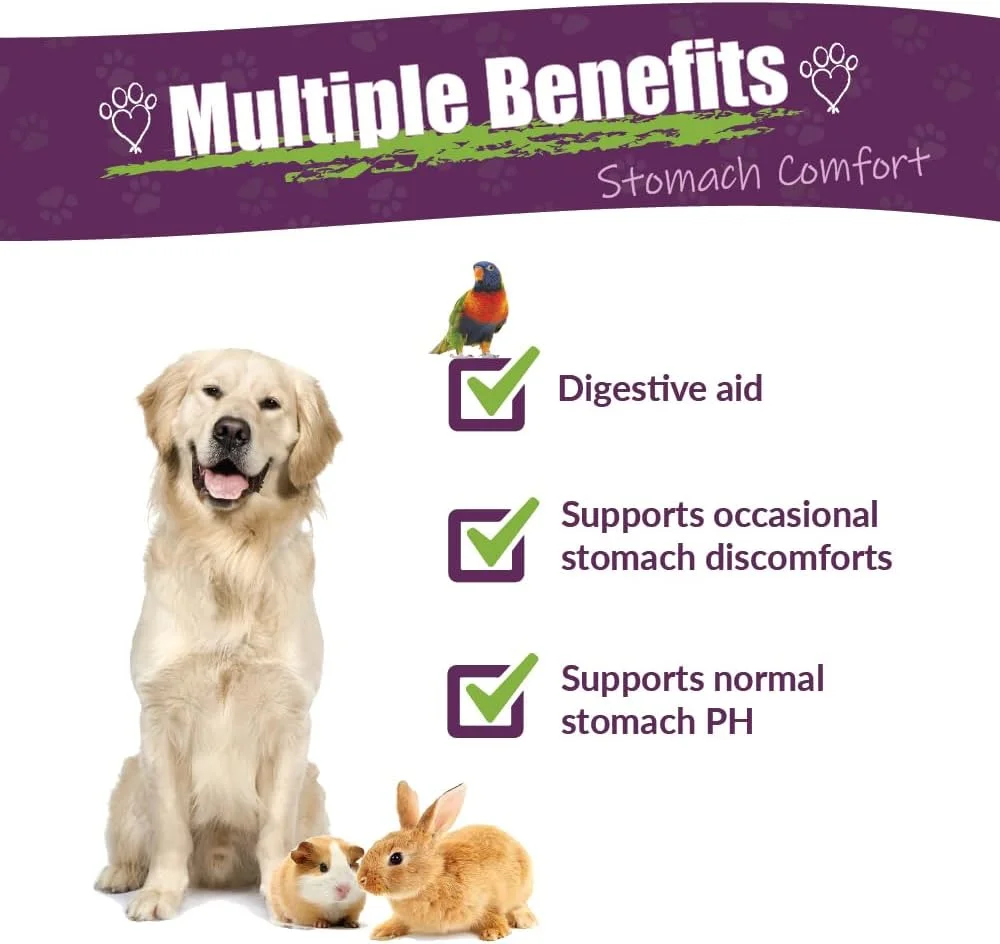 AMBER NATURALZ - ProTummy - آسایش معده - برای حیوانات خانگی - 1 اونس