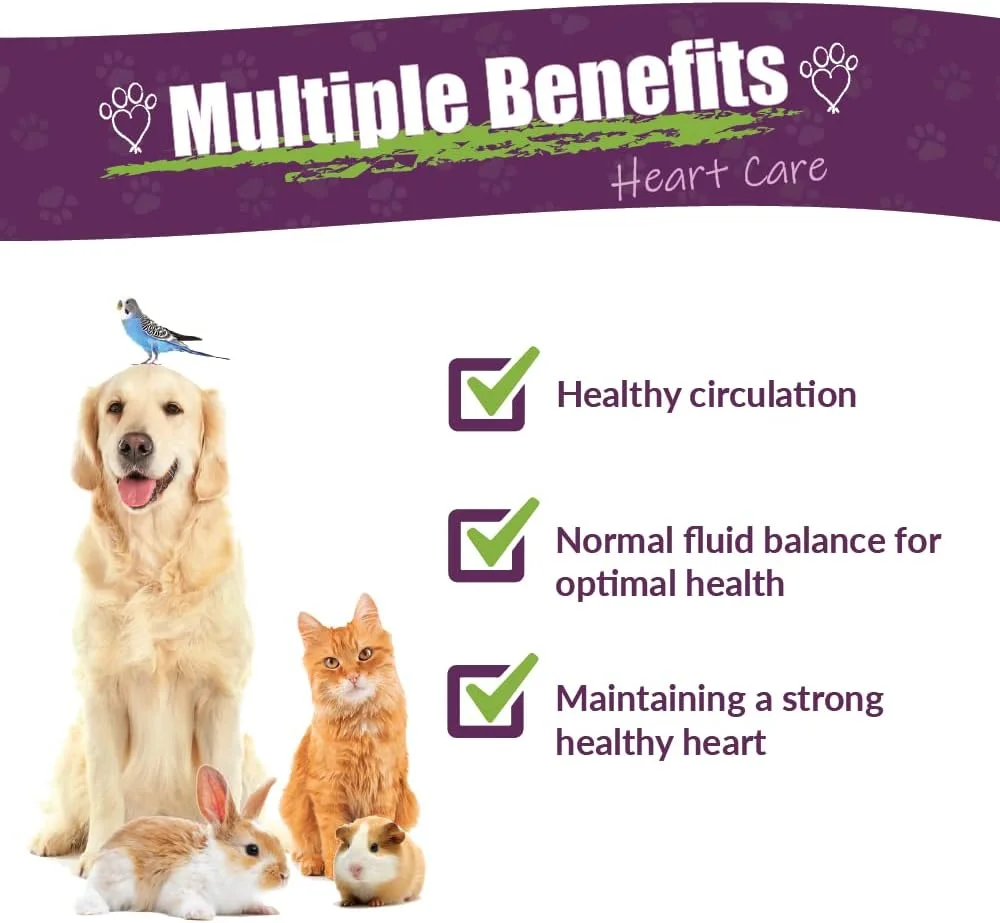 مکمل گیاهی زالزالک و قاصدک Amber NaturalZ برای سگ، گربه، پرنده، خوکچه هندی و خرگوش | مکمل گیاهی حیوانات خانگی برای مراقبت از قلب | بطری شیشه ای 4 اونس مایع | ساخت ایالات متحده آمریکا مکمل گیاهی زالزالک و قاصدک Amber NaturalZ برای سگ، گربه، پرنده، خوکچه هندی و خرگوش | مکمل گیاهی حیوانات خانگی برای مراقبت از قلب | بطری شیشه ای 4 اونس مایع | ساخت ایالات متحده آمریکا