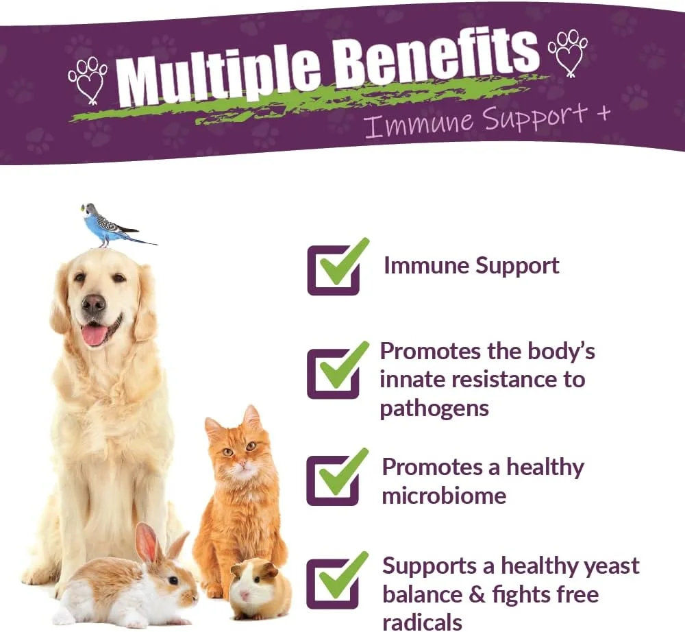 مکمل گیاهی ارگانیک امبر نچرالز تکنولوژی ویباکترا پلاس