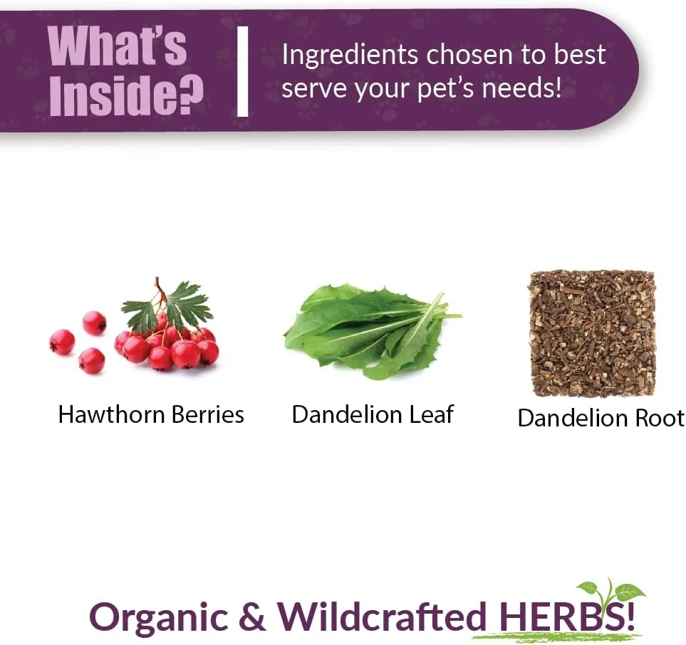 مکمل گیاهی زالزالک و قاصدک Amber NaturalZ برای سگ، گربه، پرنده، خوکچه هندی و خرگوش | مکمل گیاهی حیوانات خانگی برای مراقبت از قلب | بطری شیشه ای 4 اونس مایع | ساخت ایالات متحده آمریکا مکمل گیاهی زالزالک و قاصدک Amber NaturalZ برای سگ، گربه، پرنده، خوکچه هندی و خرگوش | مکمل گیاهی حیوانات خانگی برای مراقبت از قلب | بطری شیشه ای 4 اونس مایع | ساخت ایالات متحده آمریکا