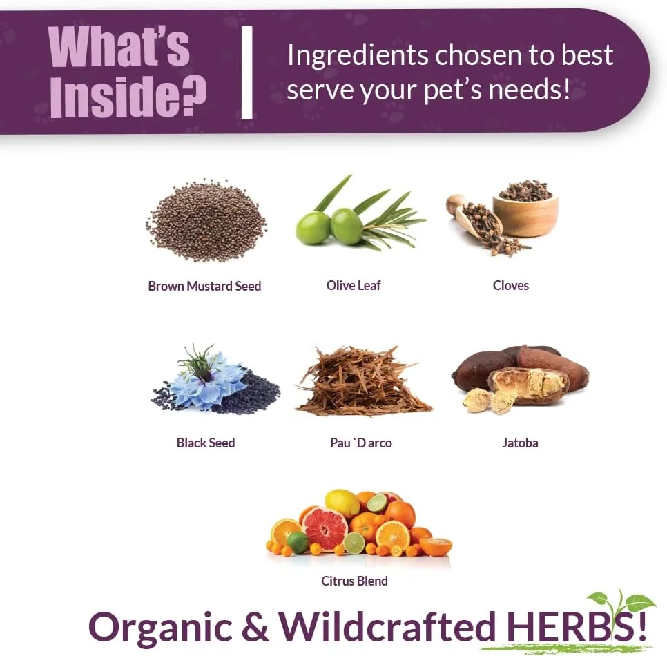 مکمل گیاهی ارگانیک امبر نچرالز تکنولوژی ویباکترا پلاس