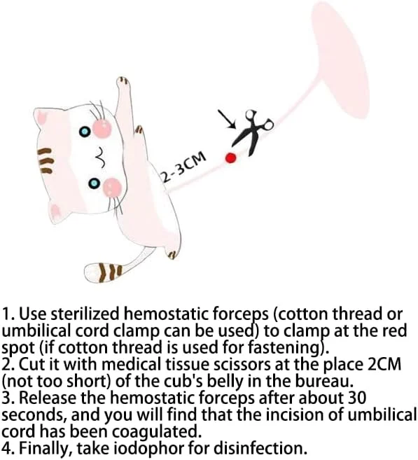 لوازم کمک تولد توله سگ و بچه گربه، کیت کمک برای تولد توله سگ - لوازم کمک به حیوانات خانگی تازه متولد شده و بچه گربه - لوازم زایمان سگ باردار - کیت تحویل بچه گربه
