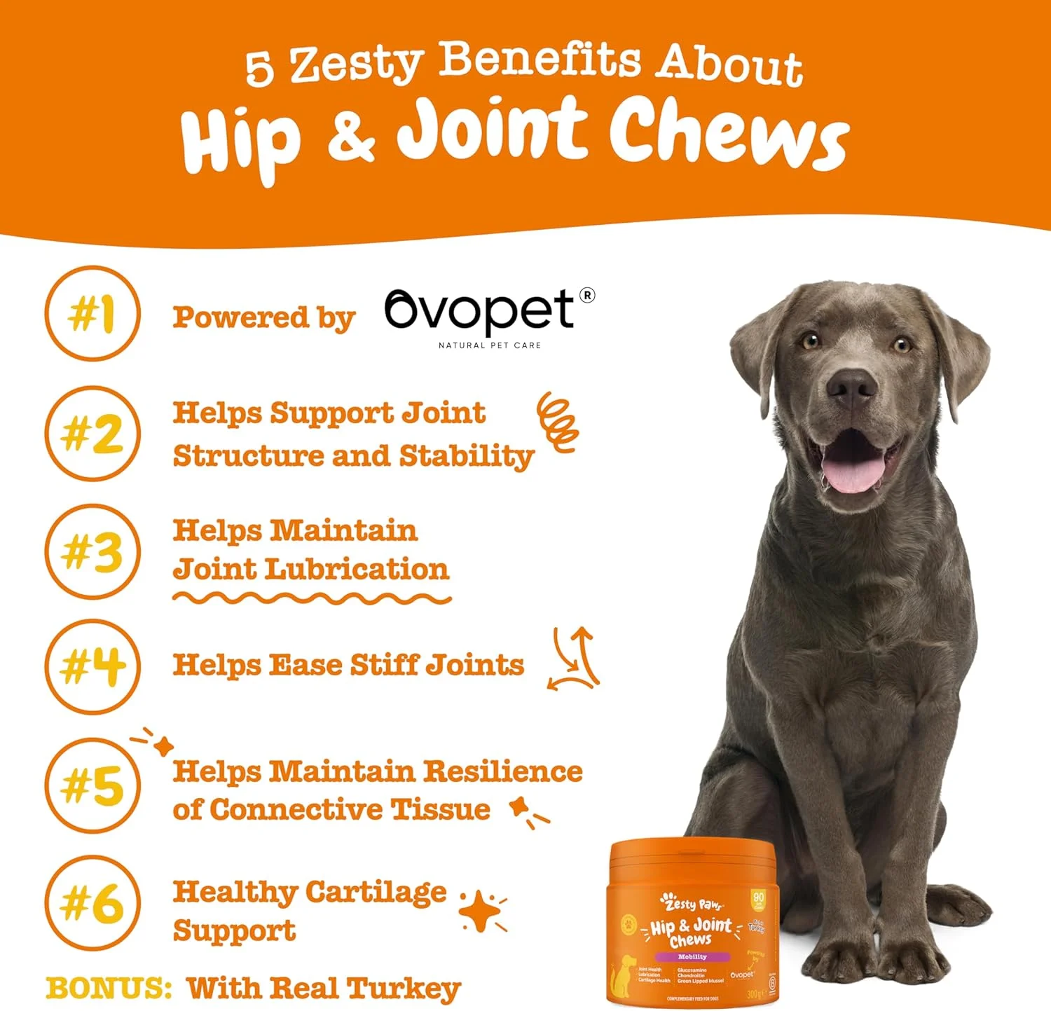 خوراک تشویقی مفصل و استخوان زستی پاوز با طعم بوقلمون، ۹۰ عددی