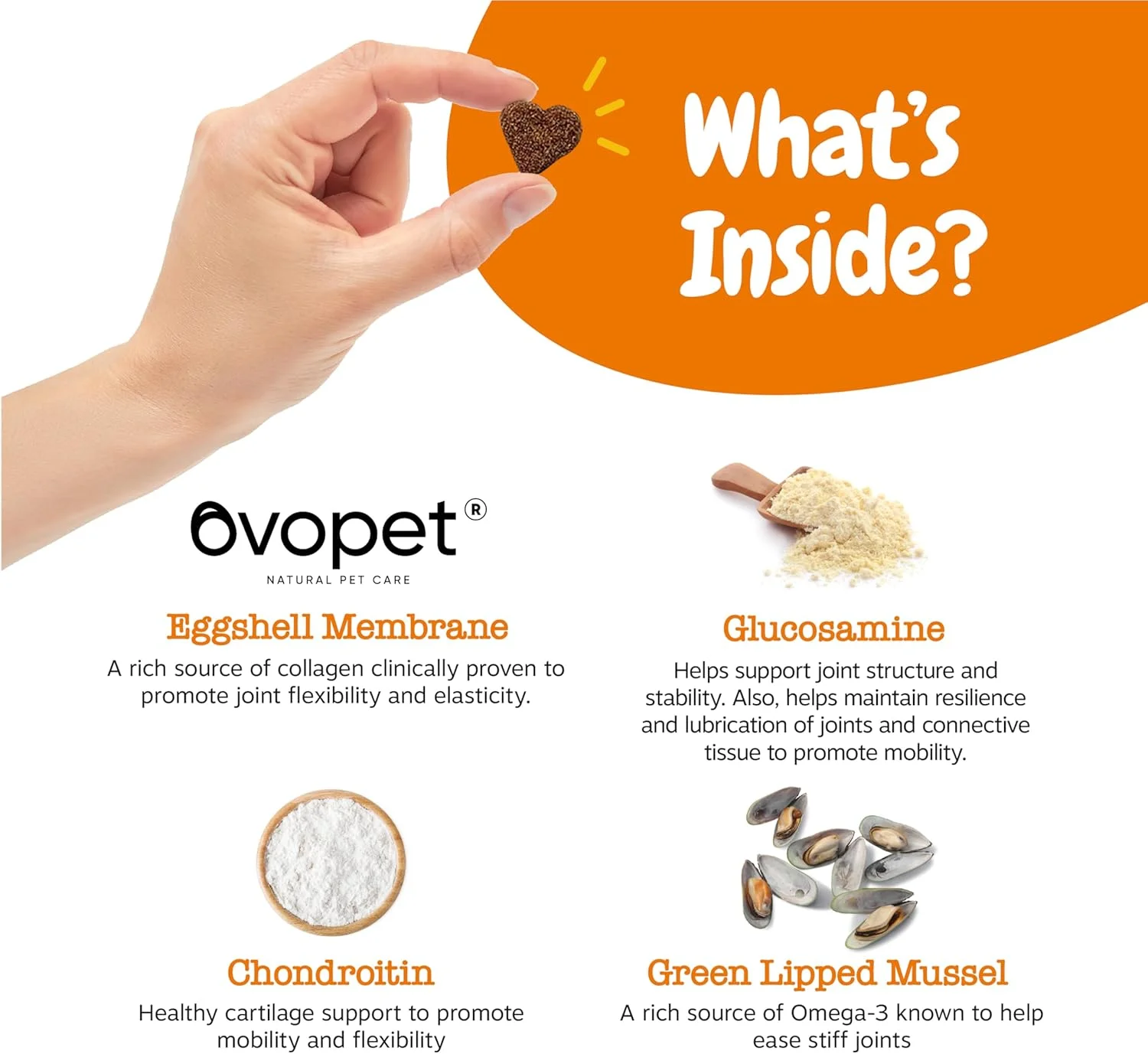 خوراک تشویقی مفصل و استخوان زستی پاوز با طعم بوقلمون، ۹۰ عددی