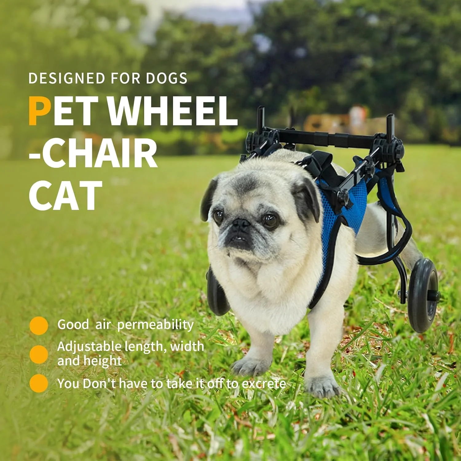 ویلچر حیوانات خانگی، ویلچر سگ، ویلچر سگ برای پاهای عقب، ارابه حیوانات خانگی قابل تنظیم، کمک به حیوان خانگی فلج برای ایستادن دوباره روی پاهایش، پشتیبانی از پا و لگن (متوسط)