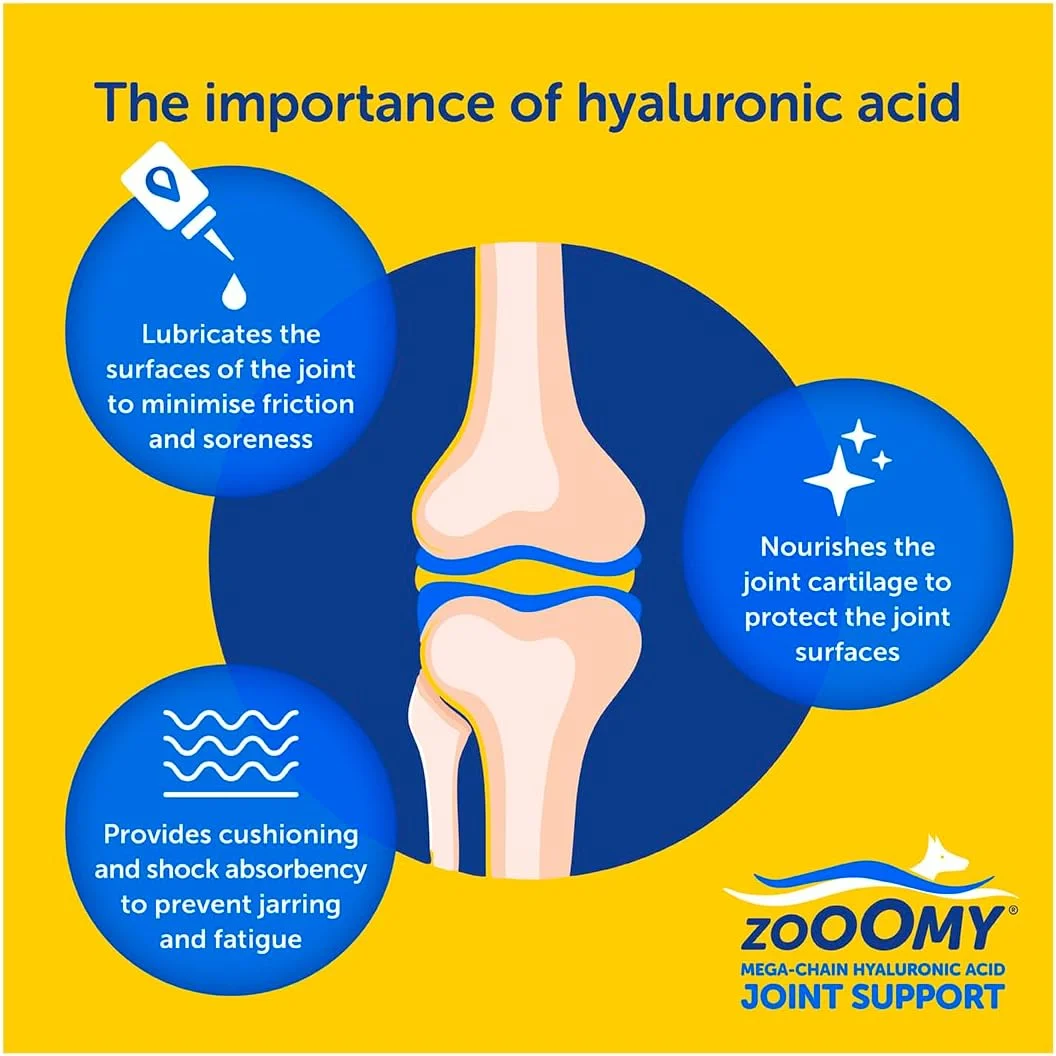 مایع مکمل مفاصل سگ زوومی CaniFlow | اسید هیالورونیک برای مراقبت از مفصل ران و آرنج | تسکین التهاب و درد برای سگ ها | ضد التهاب و پشتیبانی از تحرک | کمک به مفاصل سگ | 100 میلی لیتر مایع مکمل مفاصل سگ زوومی CaniFlow | اسید هیالورونیک برای مراقبت از مفصل ران و آرنج | تسکین التهاب و درد برای سگ ها | ضد التهاب و پشتیبانی از تحرک | کمک به مفاصل سگ | 100 میلی لیتر