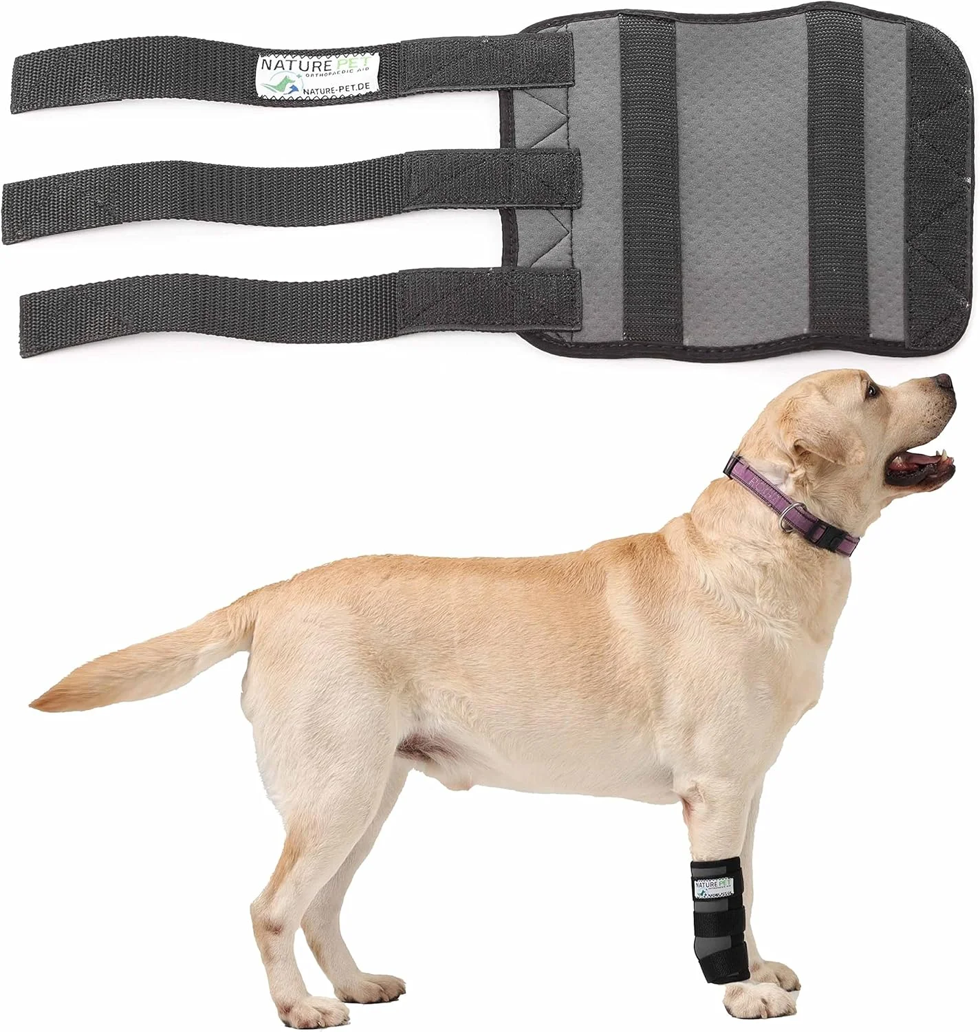 بانداژ مچی محافظتی خودرویی Nature Pet M Sport CarpoLock برای سگ ها