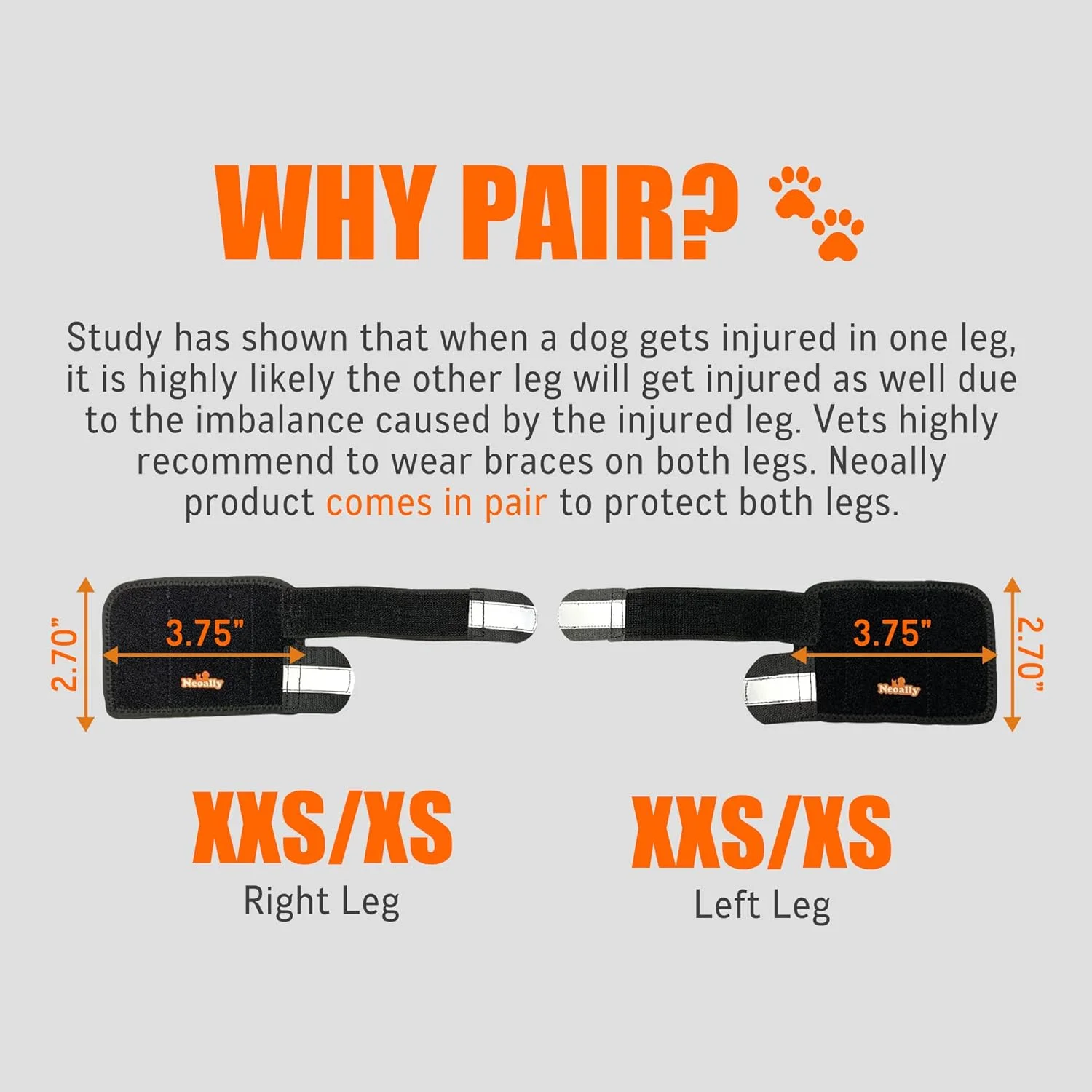 NeoAlly - محافظ پای جلویی سگ 3 در 1، بریس پای جلویی با درج های سخت و فنری، آستین پای سگ برای تحرک، ثبات و محافظت حیوان خانگی، با نوارهای بازتابنده، XXS-XS، 1 جفت NeoAlly - محافظ پای جلویی سگ 3 در 1، بریس پای جلویی با درج های سخت و فنری، آستین پای سگ برای تحرک، ثبات و محافظت حیوان خانگی، با نوارهای بازتابنده، XXS-XS، 1 جفت