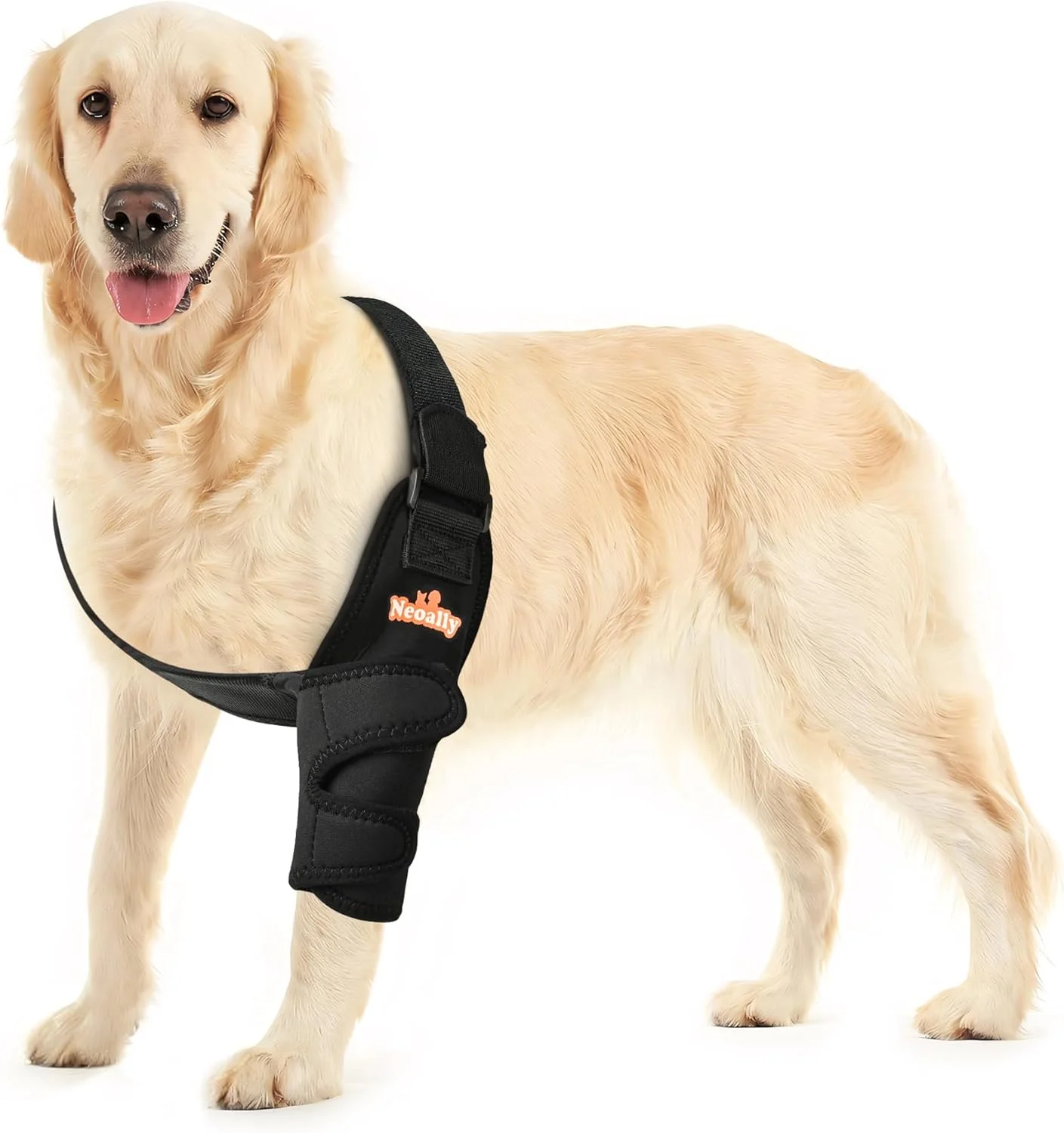 محافظ آرنج سگ NeoAlly با قابلیت تنفس برای حمایت از آرنج و شانه سگ، مناسب برای هیگروما، دیسپلازی، آرتروز، پینه آرنج، زخم بستر و در رفتگی شانه (کوچک، سمت چپ) محافظ آرنج سگ NeoAlly با قابلیت تنفس برای حمایت از آرنج و شانه سگ، مناسب برای هیگروما، دیسپلازی، آرتروز، پینه آرنج، زخم بستر و در رفتگی شانه (کوچک، سمت چپ)