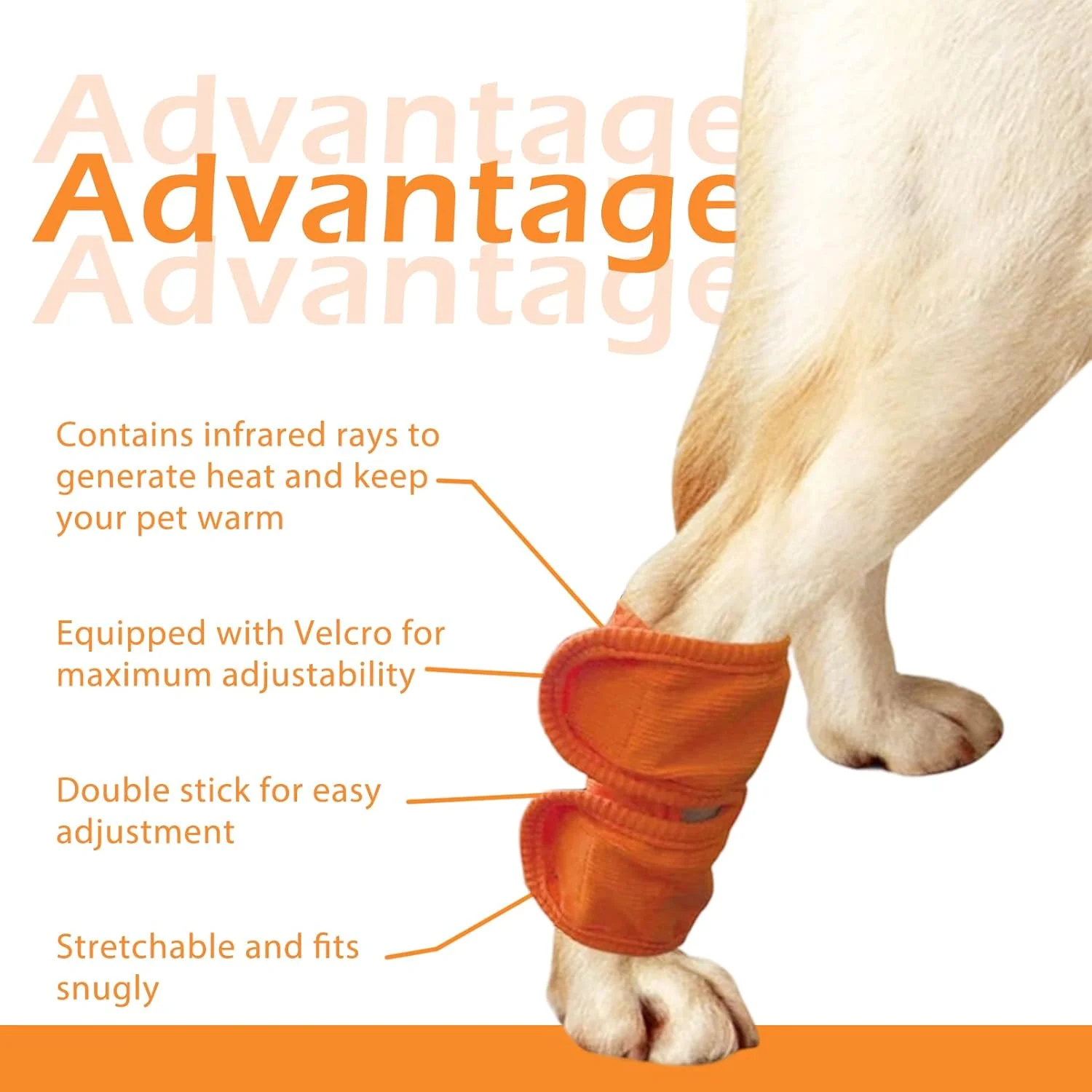 یک جفت پد زانو حیوانات خانگی، آستین ساق پا سگ برای گرما، آستین محافظ ساق پا برای تسکین مفاصل، محافظ آرنج سگ خانگی، روکش آرنج تنفسی، روکش گرم (نارنجی، L) یک جفت پد زانو حیوانات خانگی، آستین ساق پا سگ برای گرما، آستین محافظ ساق پا برای تسکین مفاصل، محافظ آرنج سگ خانگی، روکش آرنج تنفسی، روکش گرم (نارنجی، L)