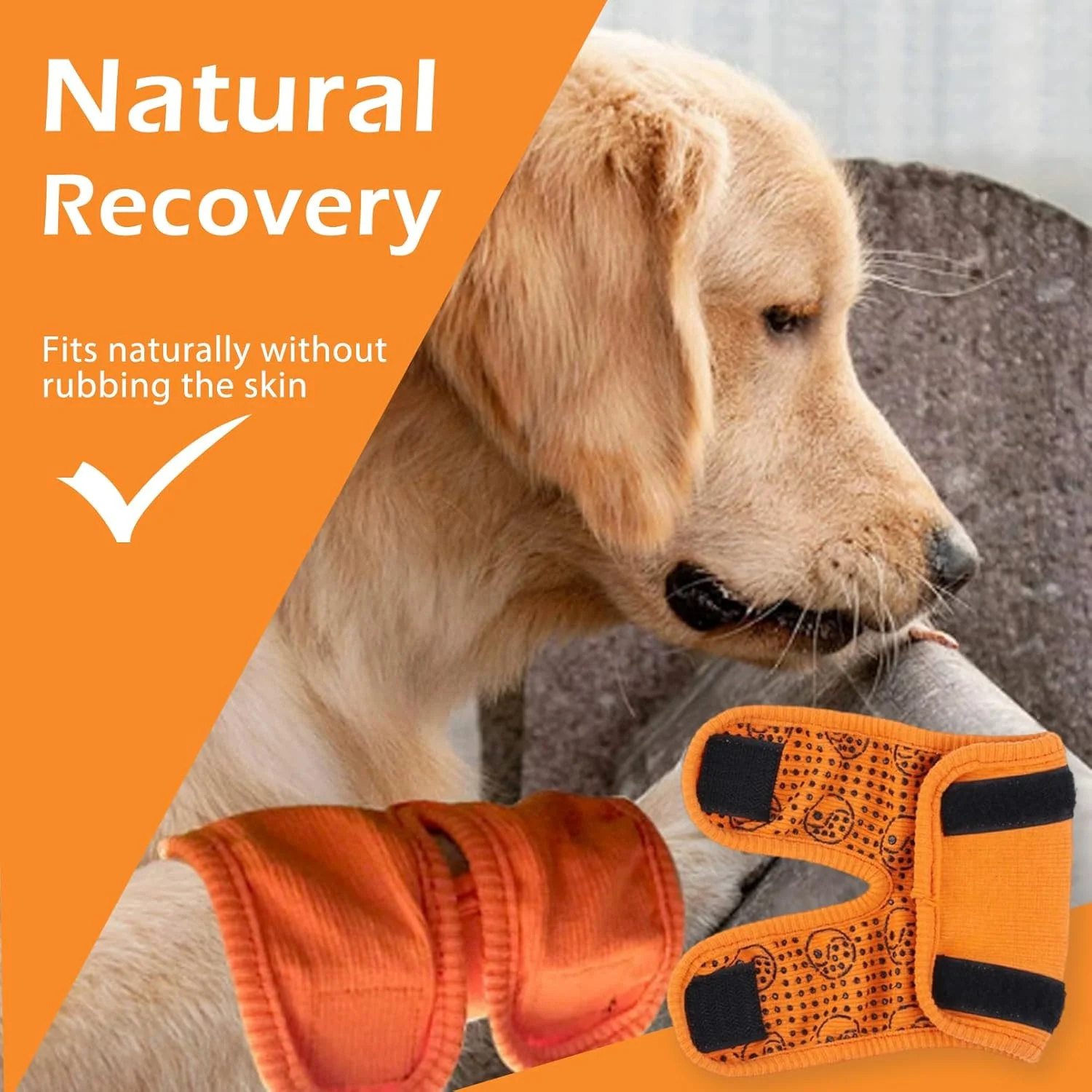 یک جفت پد زانو حیوانات خانگی، آستین ساق پا سگ برای گرما، آستین محافظ ساق پا برای تسکین مفاصل، محافظ آرنج سگ خانگی، روکش آرنج تنفسی، روکش گرم (نارنجی، L) یک جفت پد زانو حیوانات خانگی، آستین ساق پا سگ برای گرما، آستین محافظ ساق پا برای تسکین مفاصل، محافظ آرنج سگ خانگی، روکش آرنج تنفسی، روکش گرم (نارنجی، L)