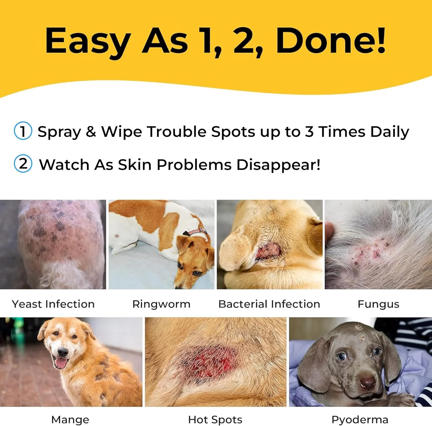 اسپری پیشرفته کلرهگزیدین و کتوکونازول برای سگ و گربه 236 میلی لیتر