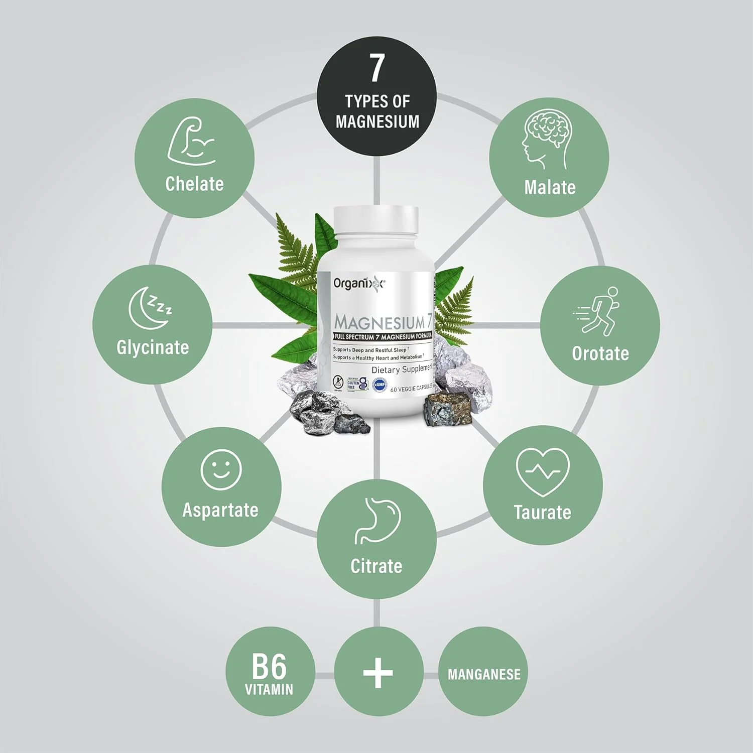 مکمل منیزیم ارگانیکس، کپسول های منیزیم طبیعی برای پشتیبانی از خواب، ریکاوری عضلات، با ویتامین B6 و سیترات و گلیسینات منگنز، جذب بالا، وگان، غیر GMO، 60 عدد مکمل منیزیم ارگانیکس، کپسول های منیزیم طبیعی برای پشتیبانی از خواب، ریکاوری عضلات، با ویتامین B6 و سیترات و گلیسینات منگنز، جذب بالا، وگان، غیر GMO، 60 عدد
