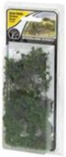 تکه بوته تمشک مدل FS638، سبز متوسط