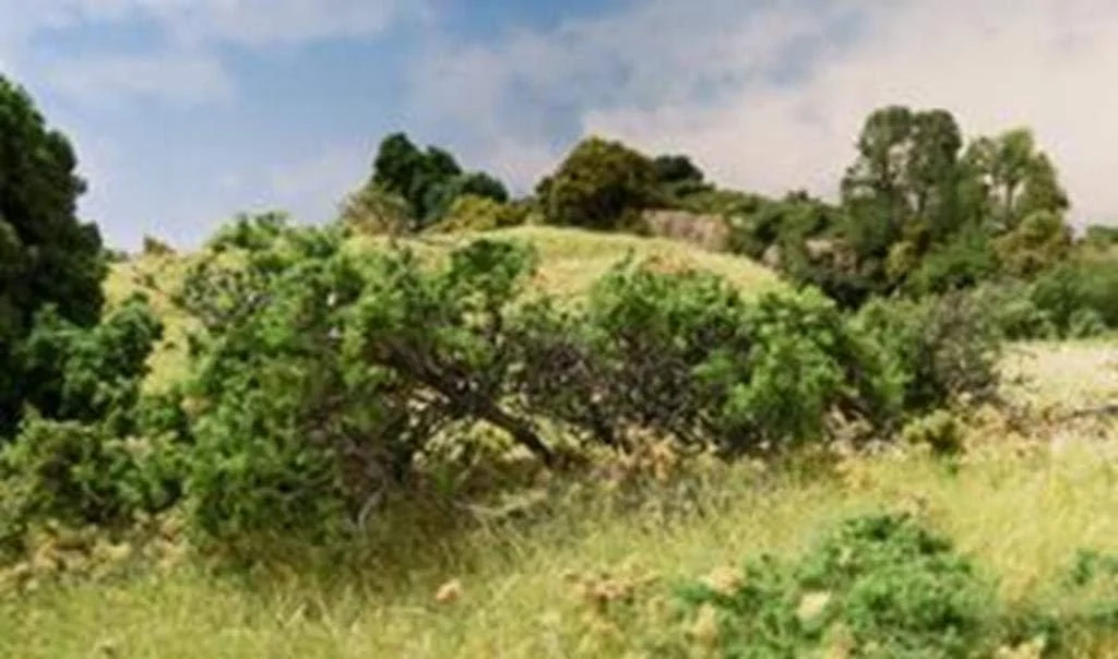 تکه بوته تمشک مدل FS638، سبز متوسط