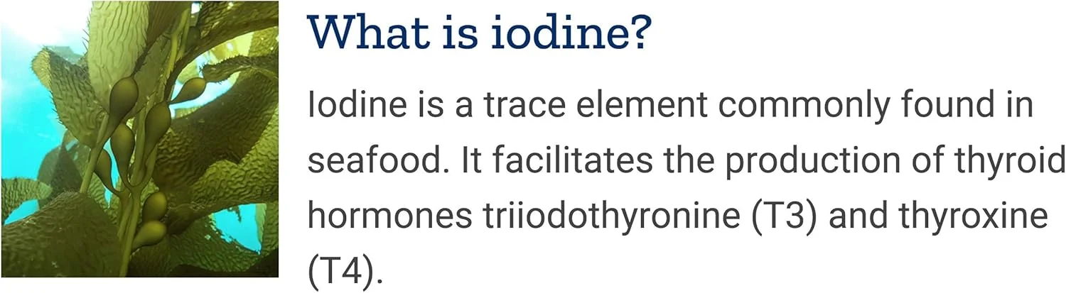 مکمل ید دریایی لایف اکستنشن 1000 میکروگرم، 150 کپسول گیاهی (بسته 2 عددی) - مکمل ید طبیعی از جلبک دریایی مکمل ید دریایی لایف اکستنشن 1000 میکروگرم، 150 کپسول گیاهی (بسته 2 عددی) - مکمل ید طبیعی از جلبک دریایی