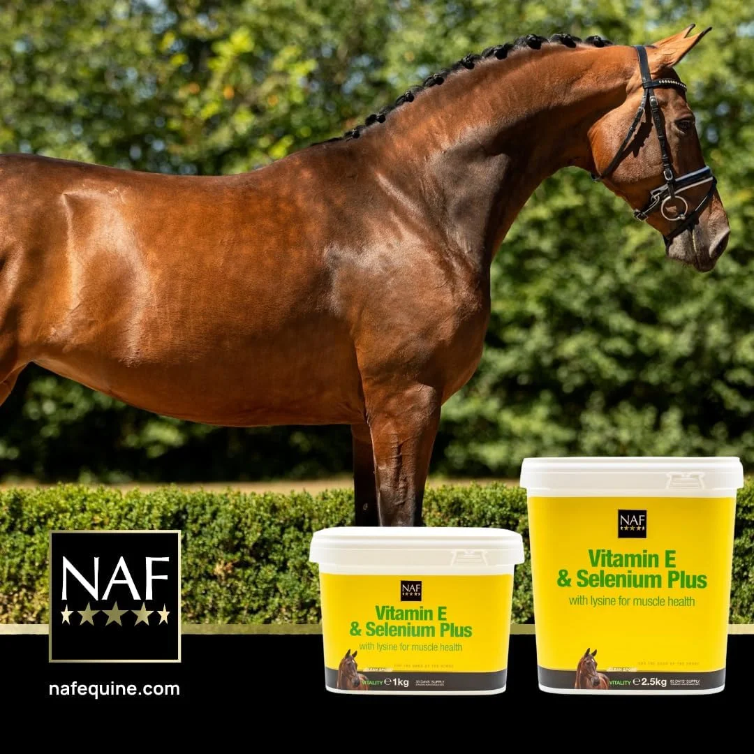 مکمل ویتامین ای و سلنیوم NAF وزن ۱ کیلوگرم مکمل ویتامین ای و سلنیوم NAF وزن ۱ کیلوگرم