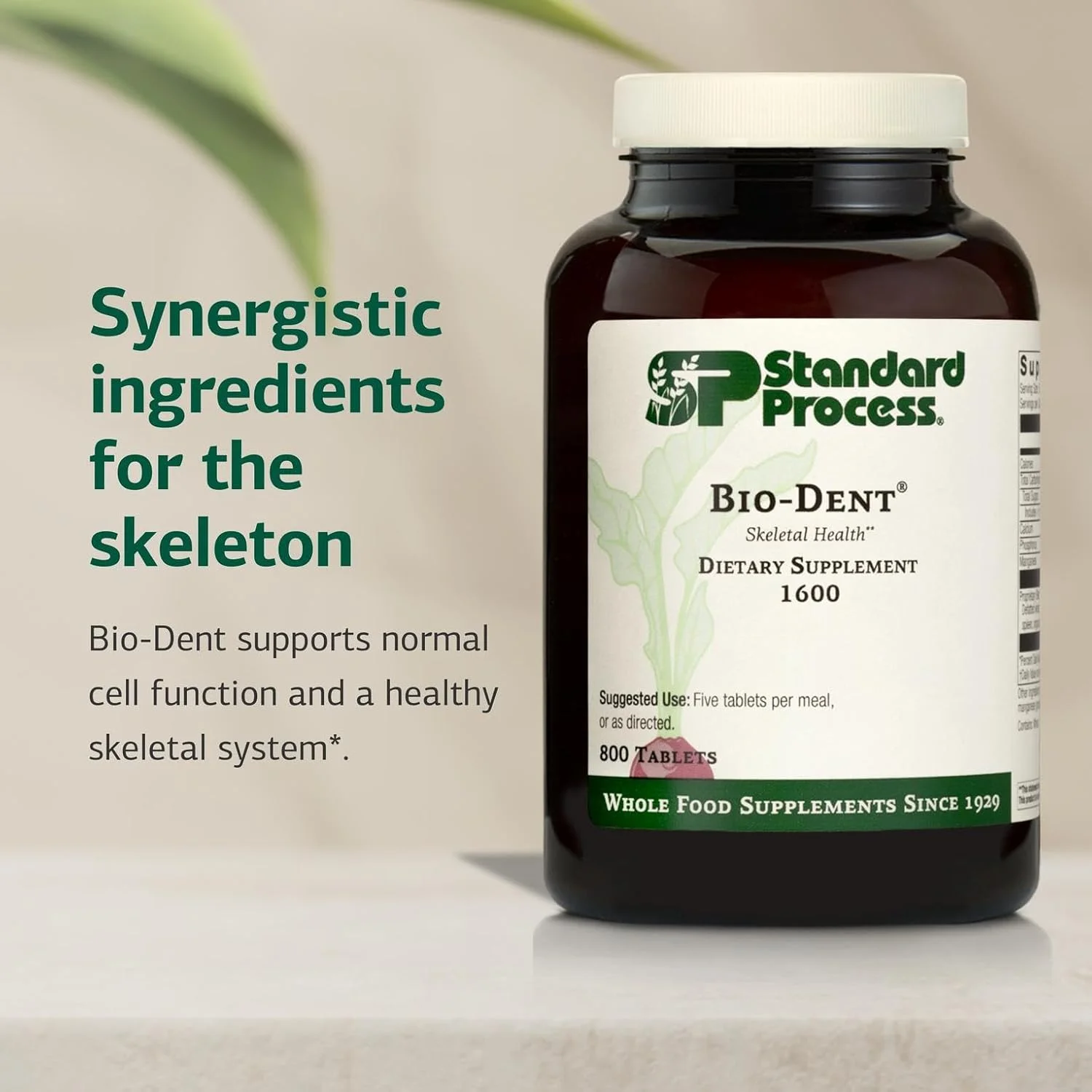 مکمل غذایی کامل Bio-Dent از Standard Process Inc. - برای سلامت پوست، عضلات و استخوان - حاوی کلسیم، ریشه شیرین بیان، منگنز، فسفر و موارد دیگر - 800 قرص مکمل غذایی کامل Bio-Dent از Standard Process Inc. - برای سلامت پوست، عضلات و استخوان - حاوی کلسیم، ریشه شیرین بیان، منگنز، فسفر و موارد دیگر - 800 قرص