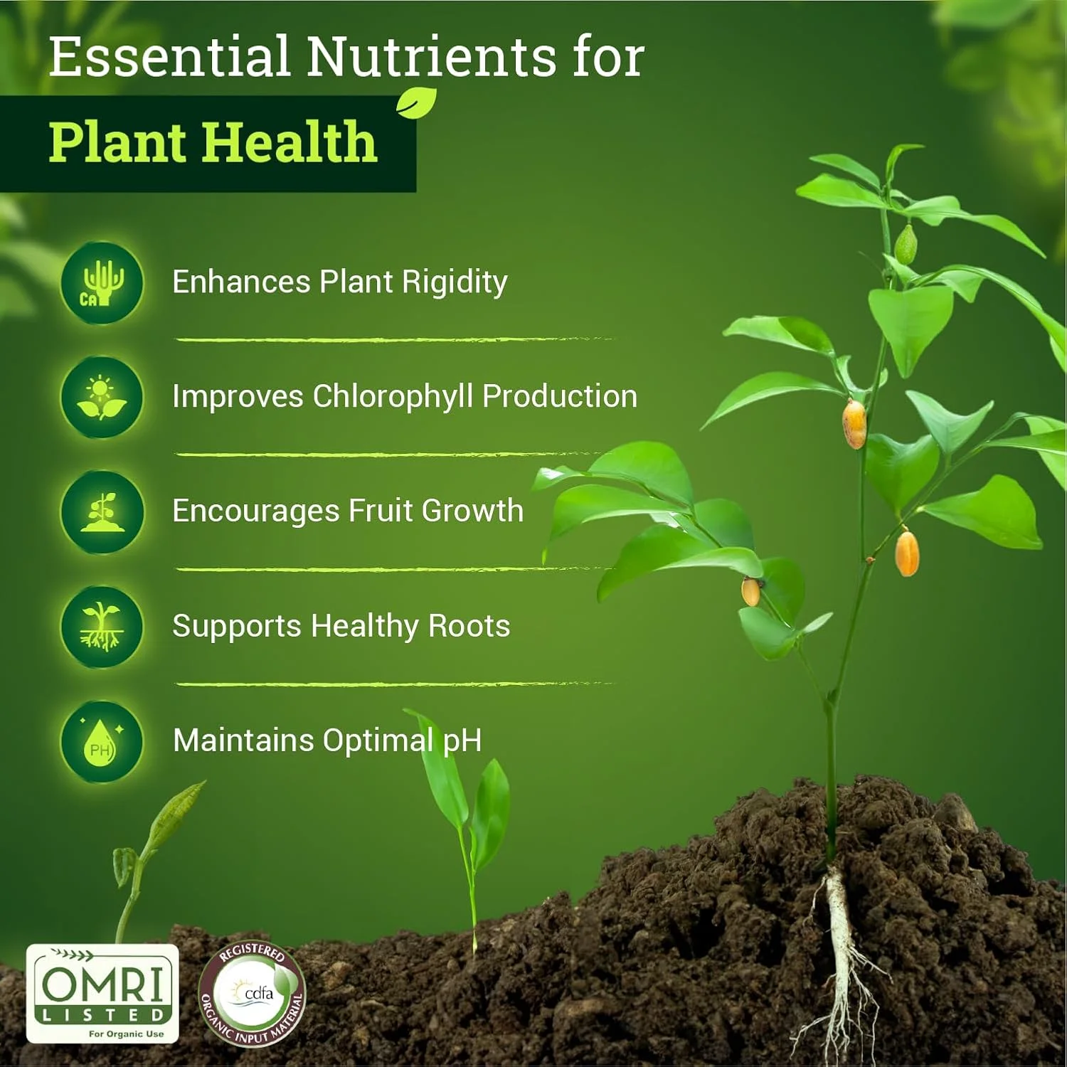 فاکس فارم بوش داکتر کلسیم-منیزیم (473 میلی لیتر) فاکس فارم بوش داکتر کلسیم-منیزیم (473 میلی لیتر)