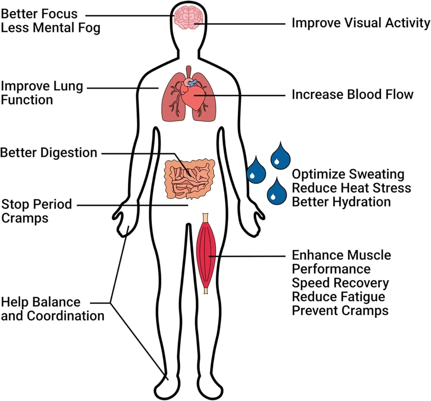 پودر نوشیدنی الکترولیتی کرامپید اورجینال 2K با طعم لیمو-لایم، کم شکر و پتاسیم بالا: ریکاوری سریعتر، خستگی کمتر، آبرسانی بهینه | بسته 19 سروینگ، کاملا طبیعی و بدون رنگ پودر نوشیدنی الکترولیتی کرامپید اورجینال 2K با طعم لیمو-لایم، کم شکر و پتاسیم بالا: ریکاوری سریعتر، خستگی کمتر، آبرسانی بهینه | بسته 19 سروینگ، کاملا طبیعی و بدون رنگ